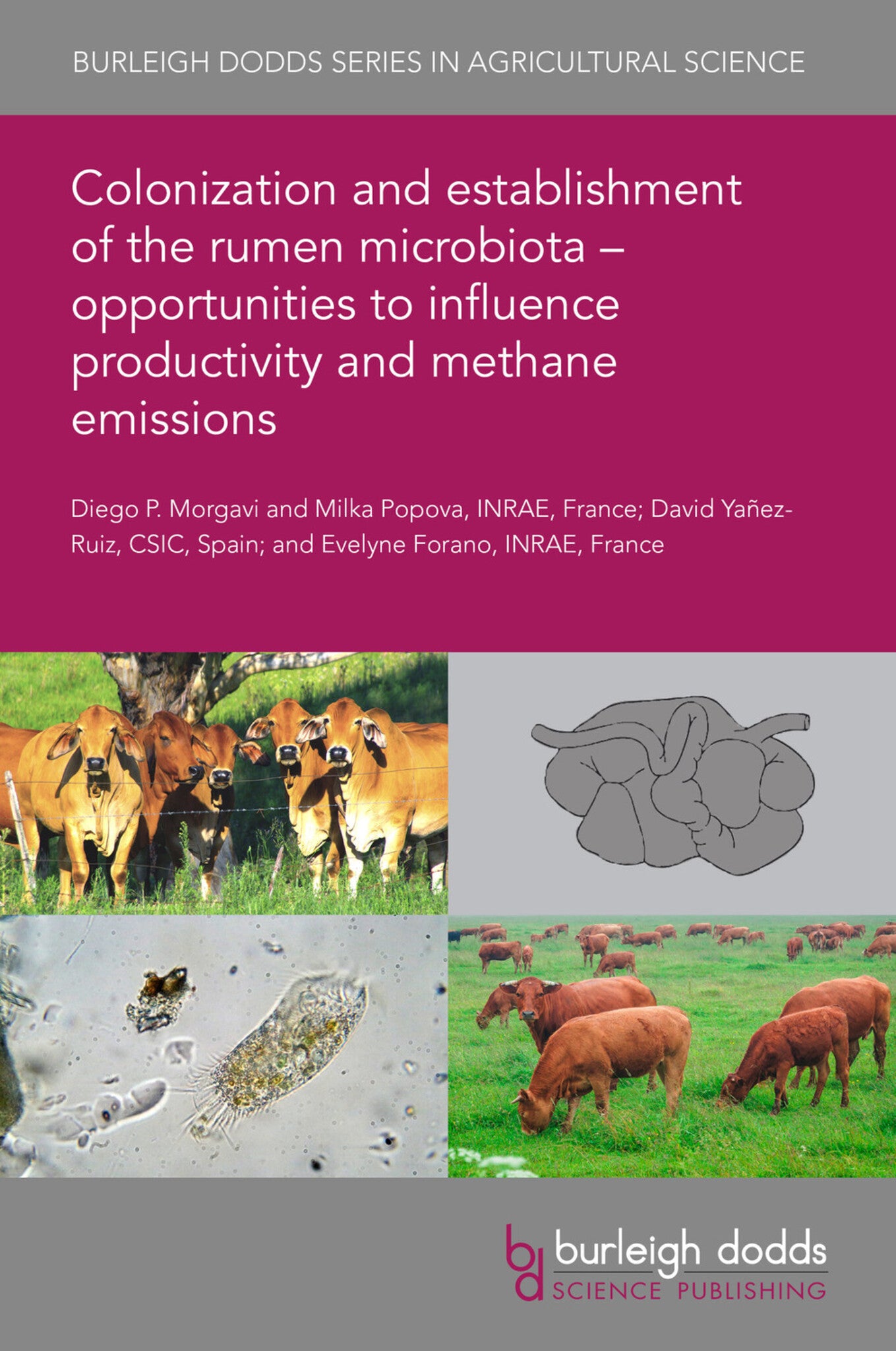Colonization and establishment of the rumen microbiota – opportunities to influence productivity and methane emissions