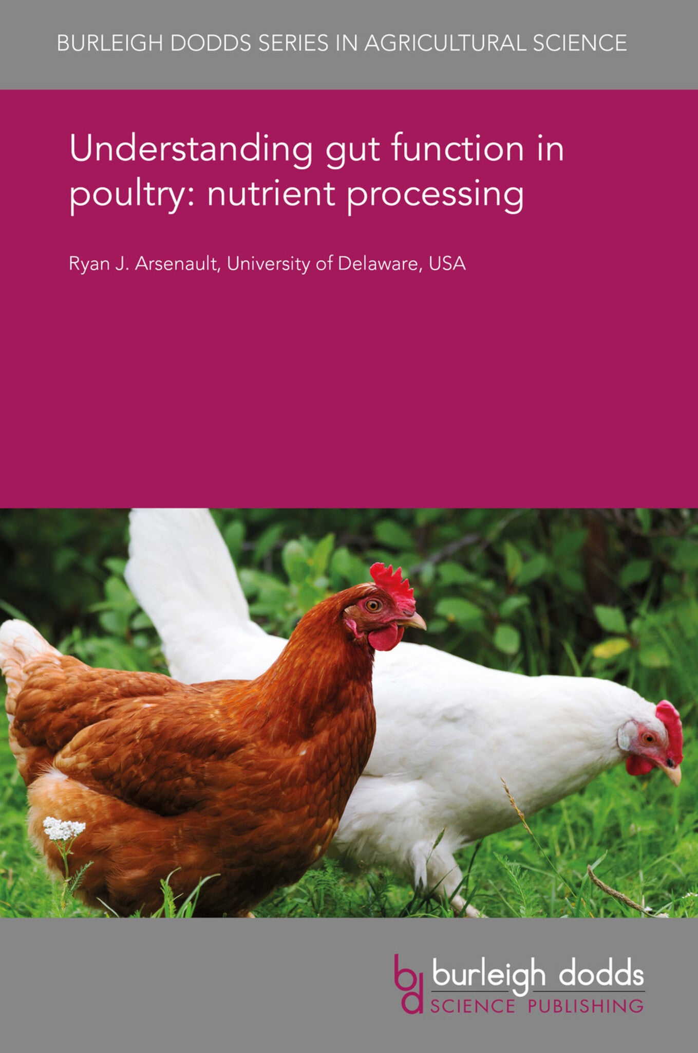 Understanding gut function in poultry: immunometabolism at the gut level