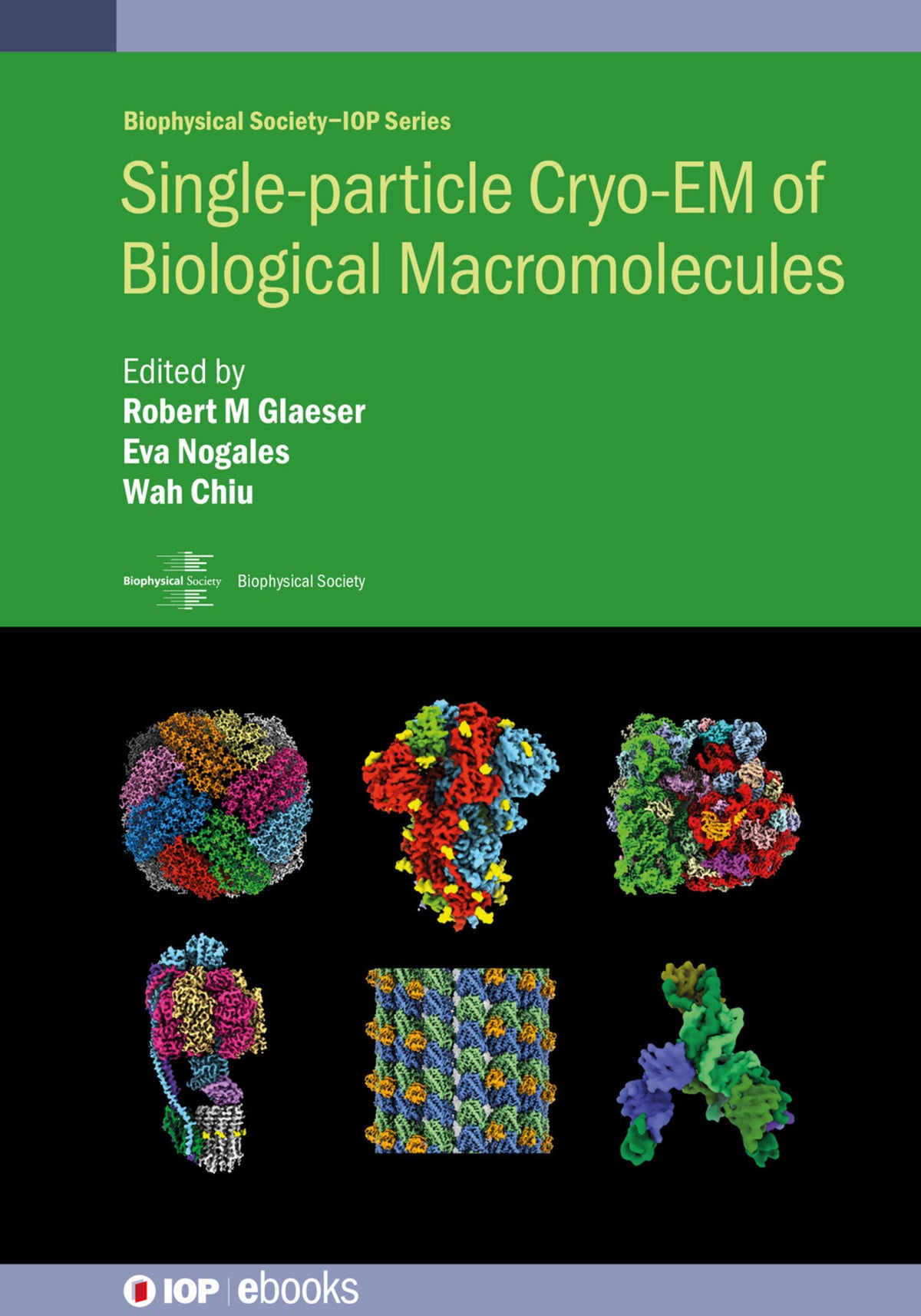 Cover image for Single-particle Cryo-EM of Biological Macromolecules ISBN 9780750330398