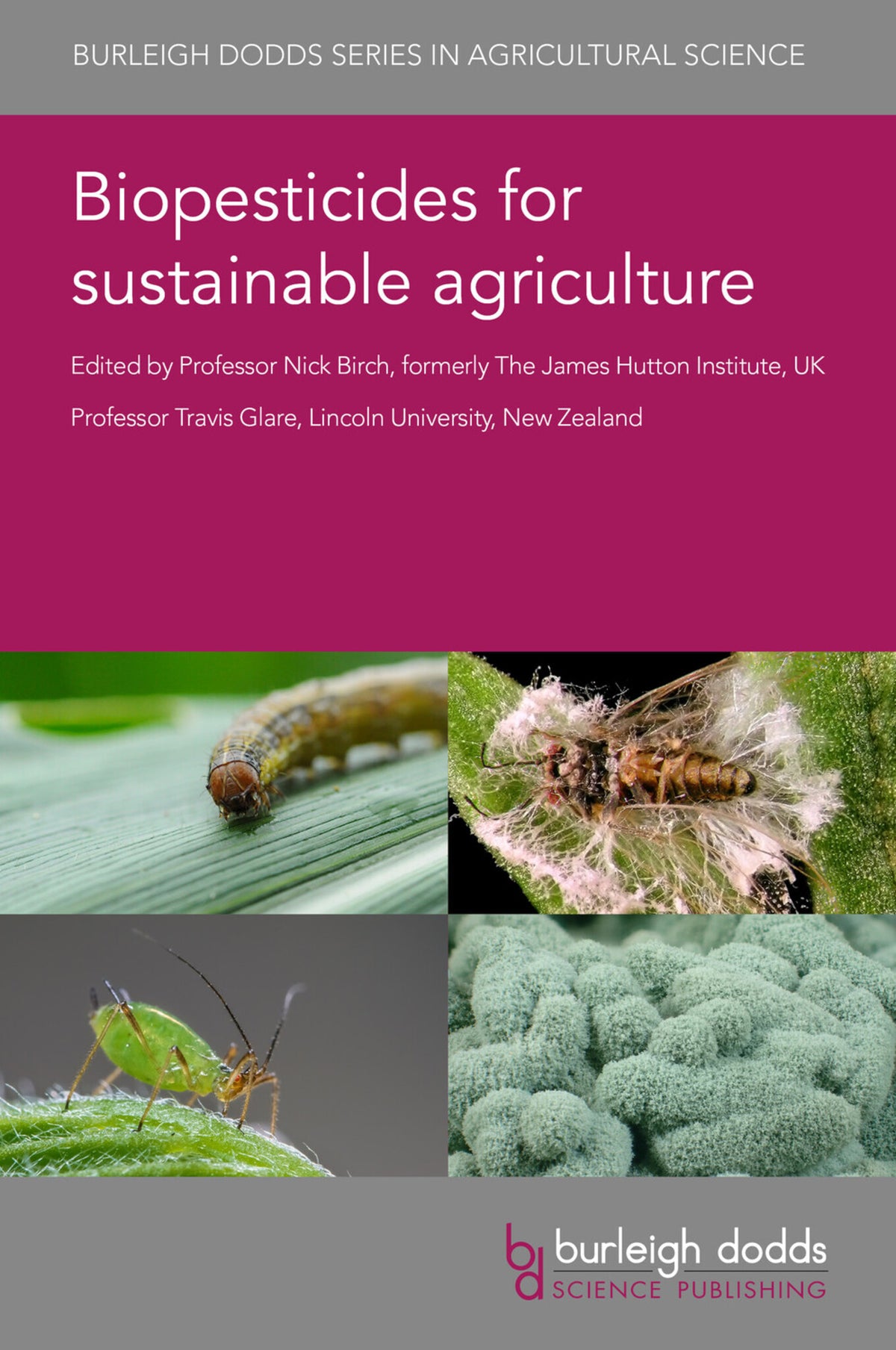 Cover image for Biopesticides for sustainable agriculture ISBN 9781786763587