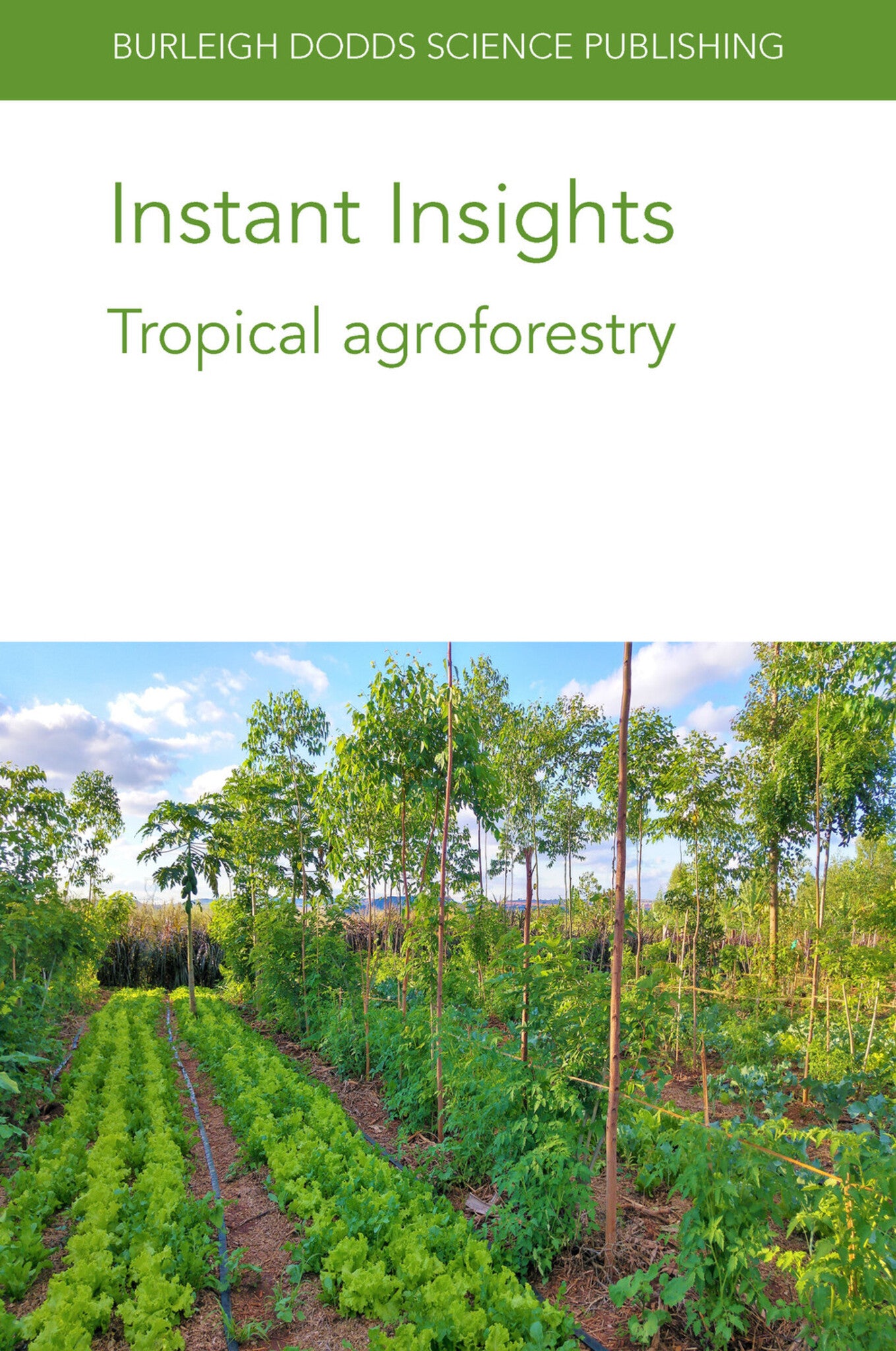 Instant Insights: Tropical agroforestry