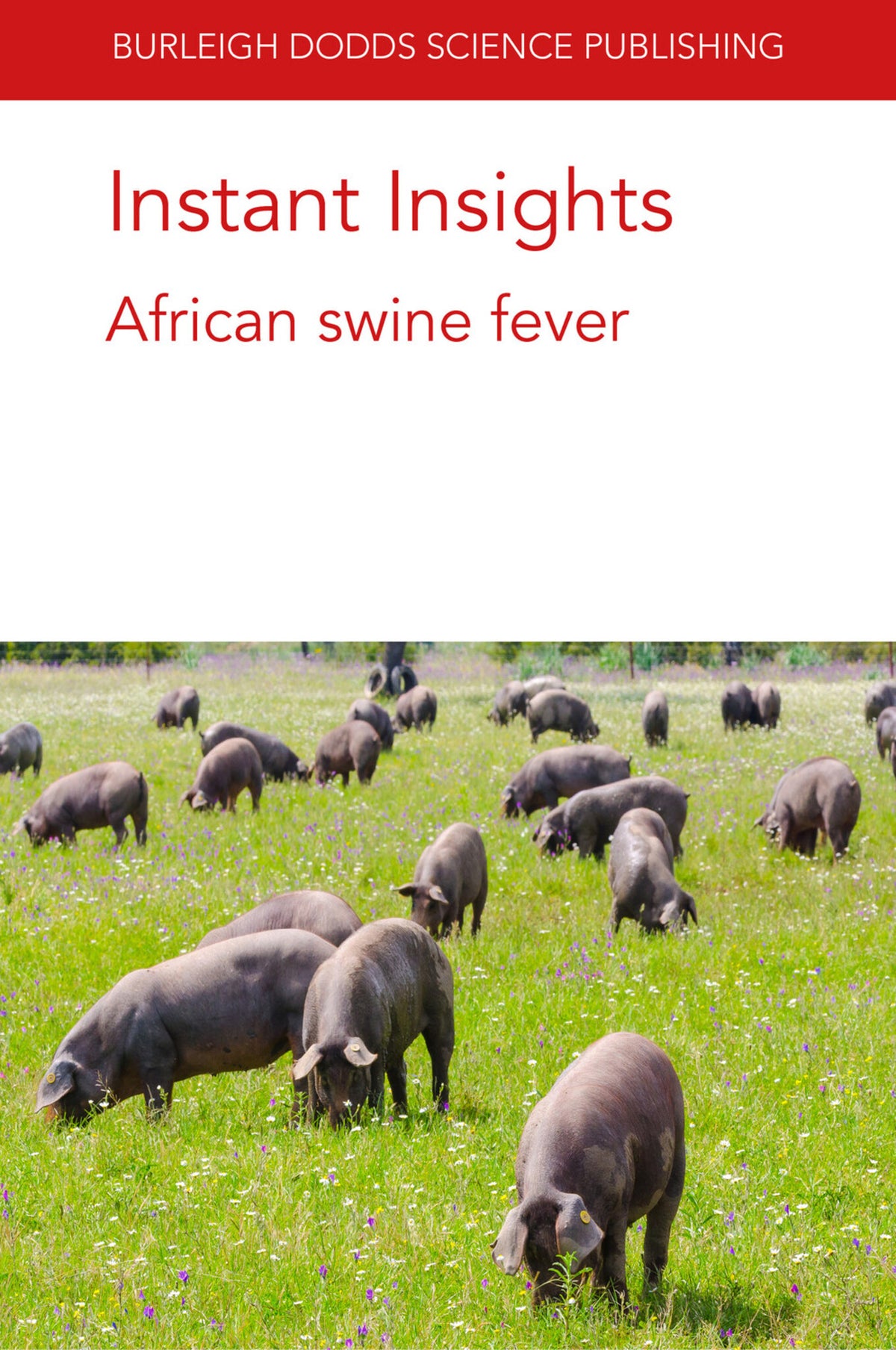 Cover image for Instant Insights: African swine fever ISBN 9781786768612