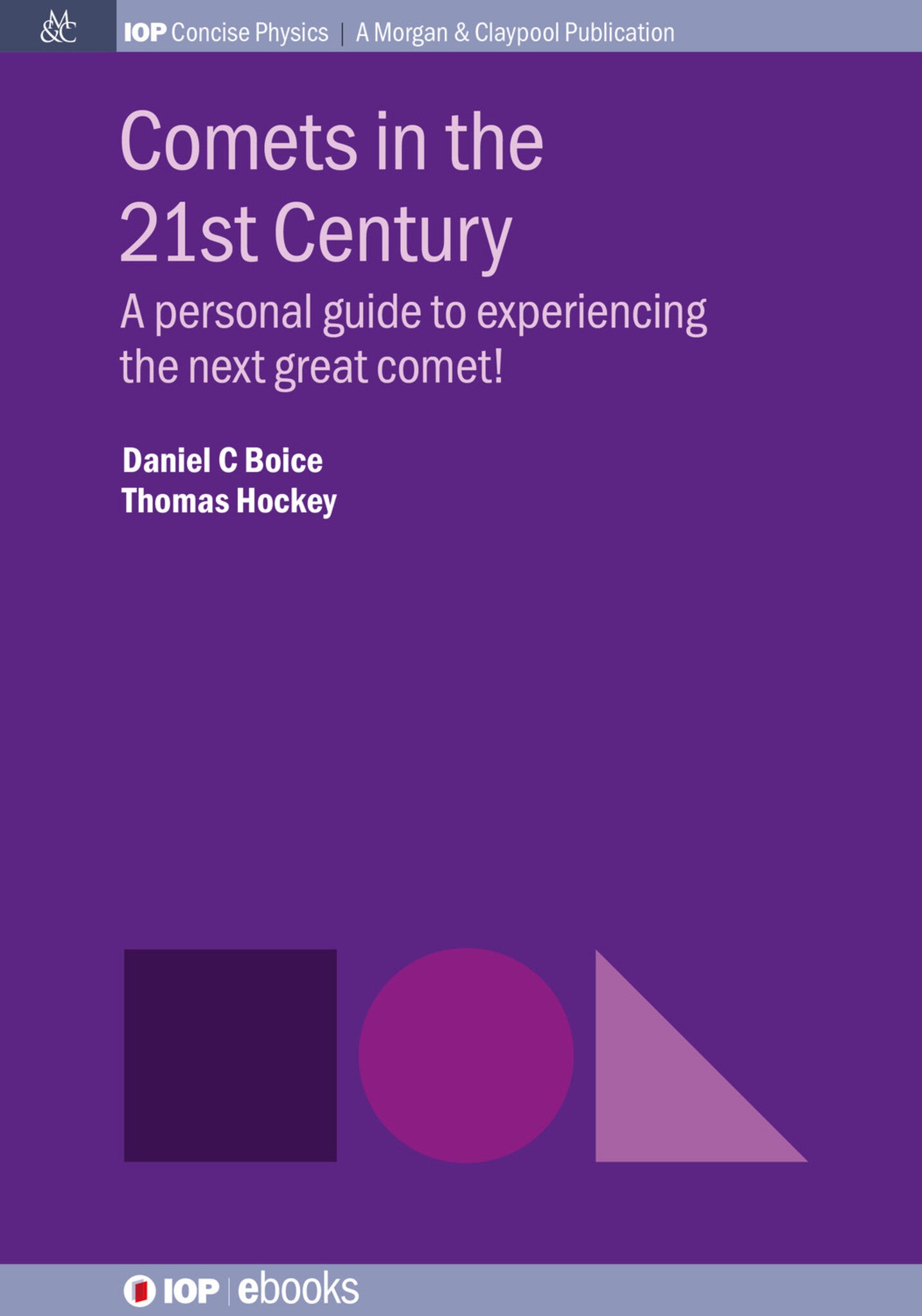 Comets in the 21st Century