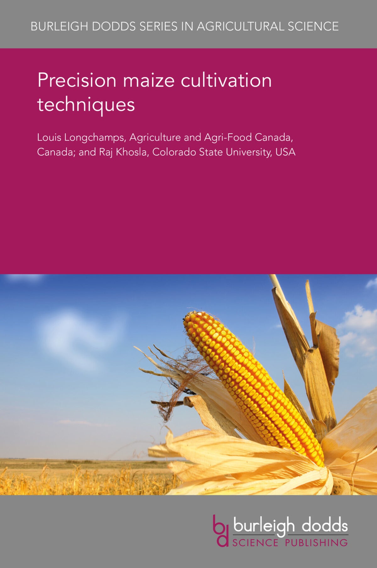 Precision maize cultivation techniques