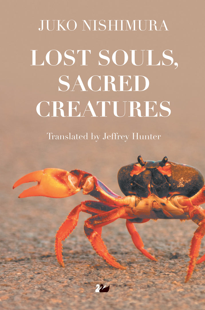 Cover image for Lost Souls, Sacred Creatures ISBN 9780857281449