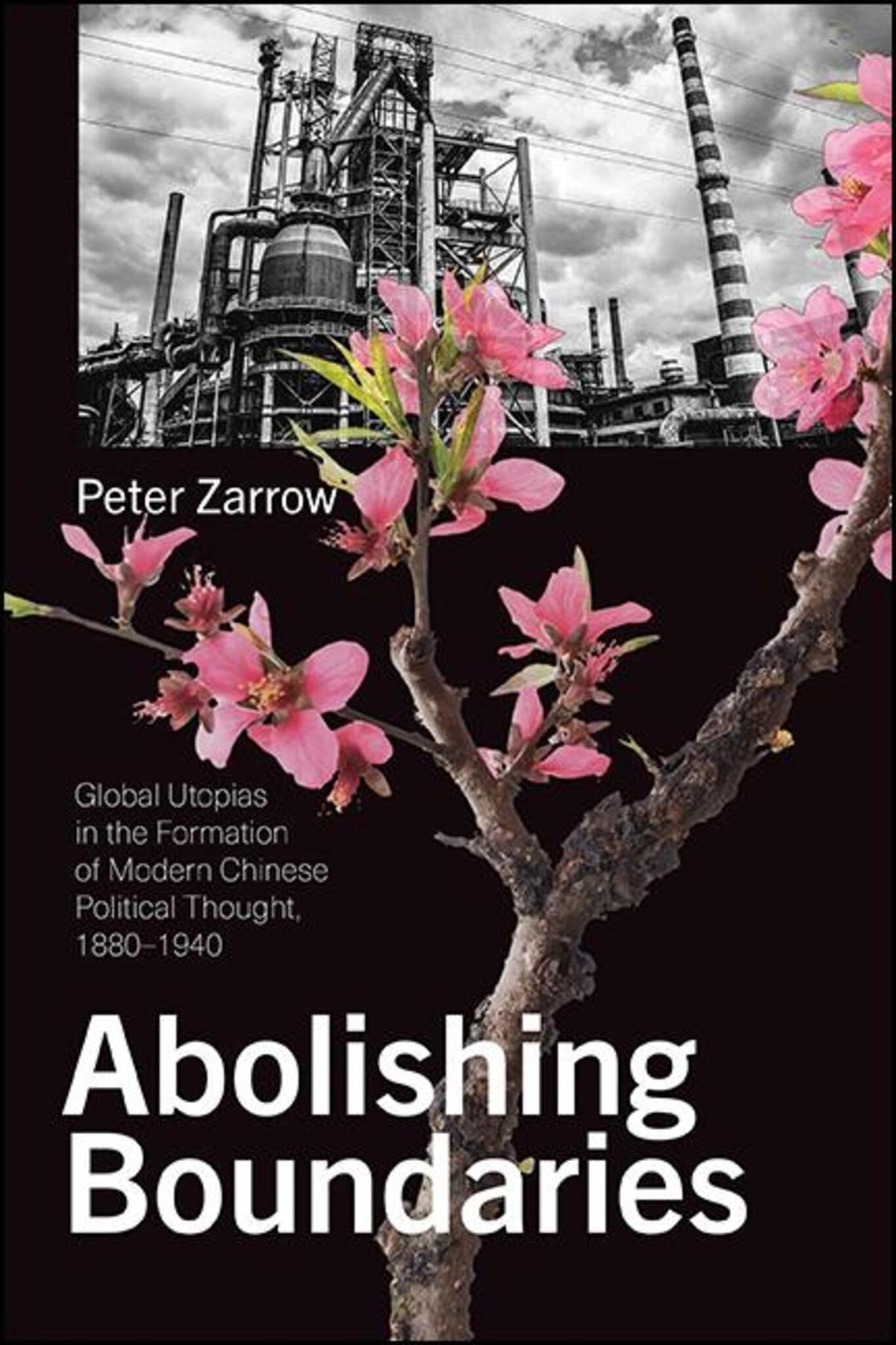Cover image for Abolishing Boundaries ISBN 9781438482835