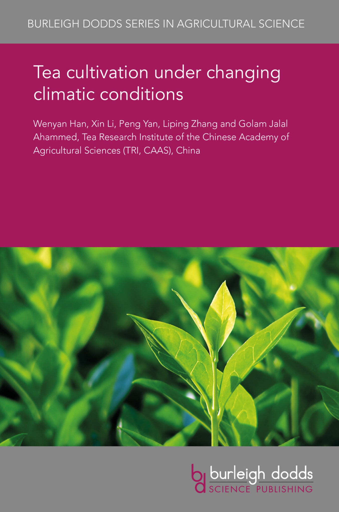 Tea cultivation under changing climatic conditions