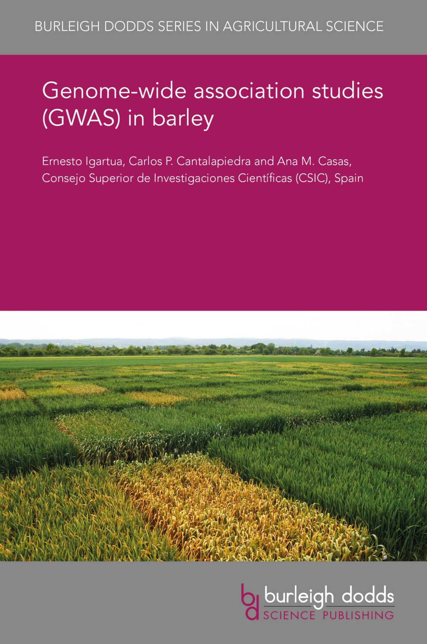 Genome-wide association studies (GWAS) in barley
