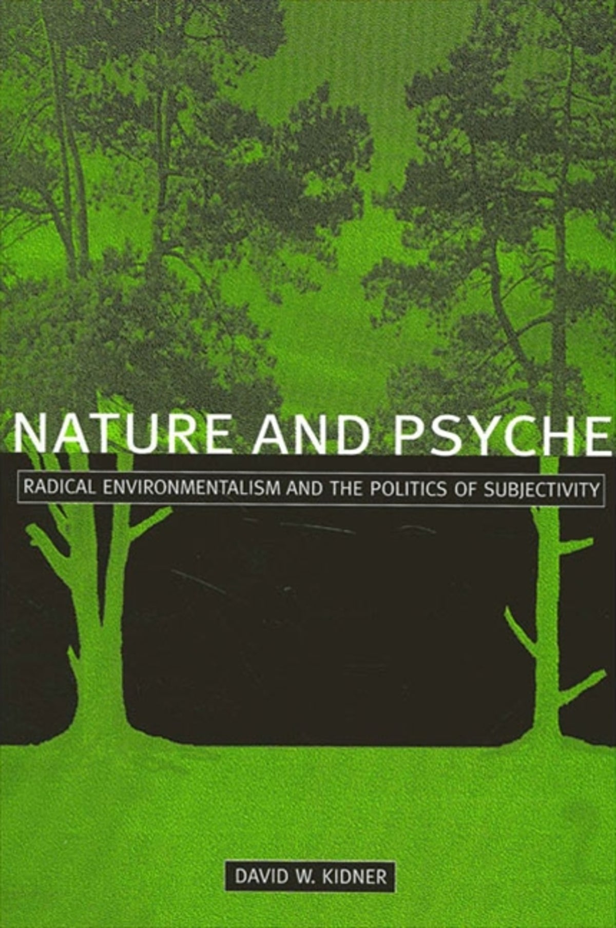 Cover image for Nature and Psyche ISBN 9780791447529