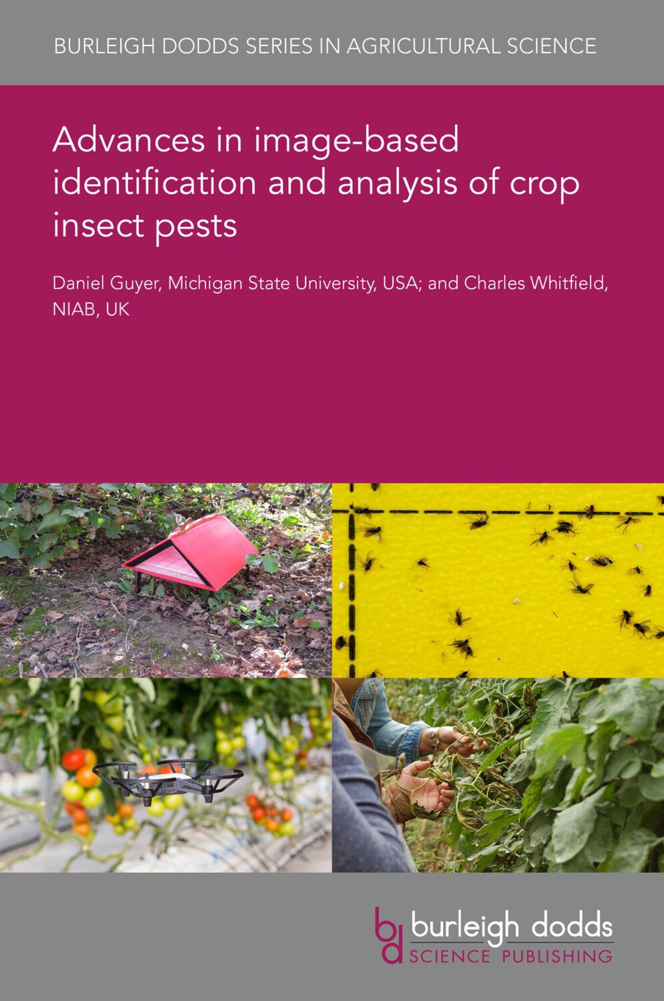 Advances in image-based identification and analysis of crop insect pests