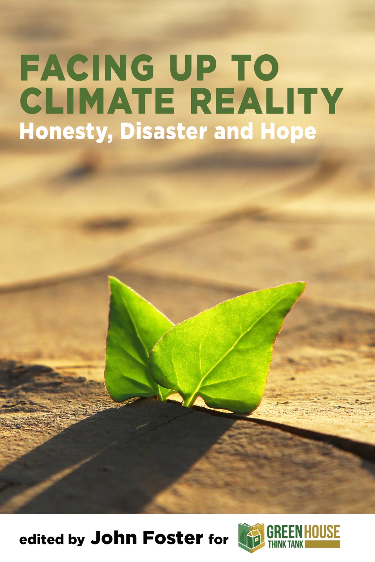 Cover image for Facing Up to Climate Reality: Honesty, Disaster and Hope ISBN 9781907994944