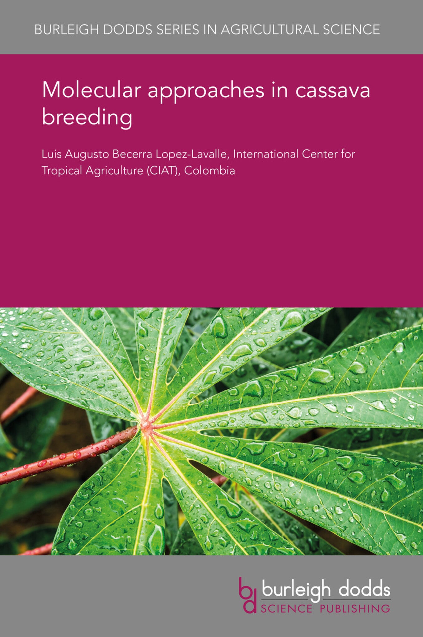 Molecular approaches in cassava breeding