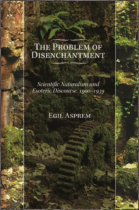 The Problem of Disenchantment