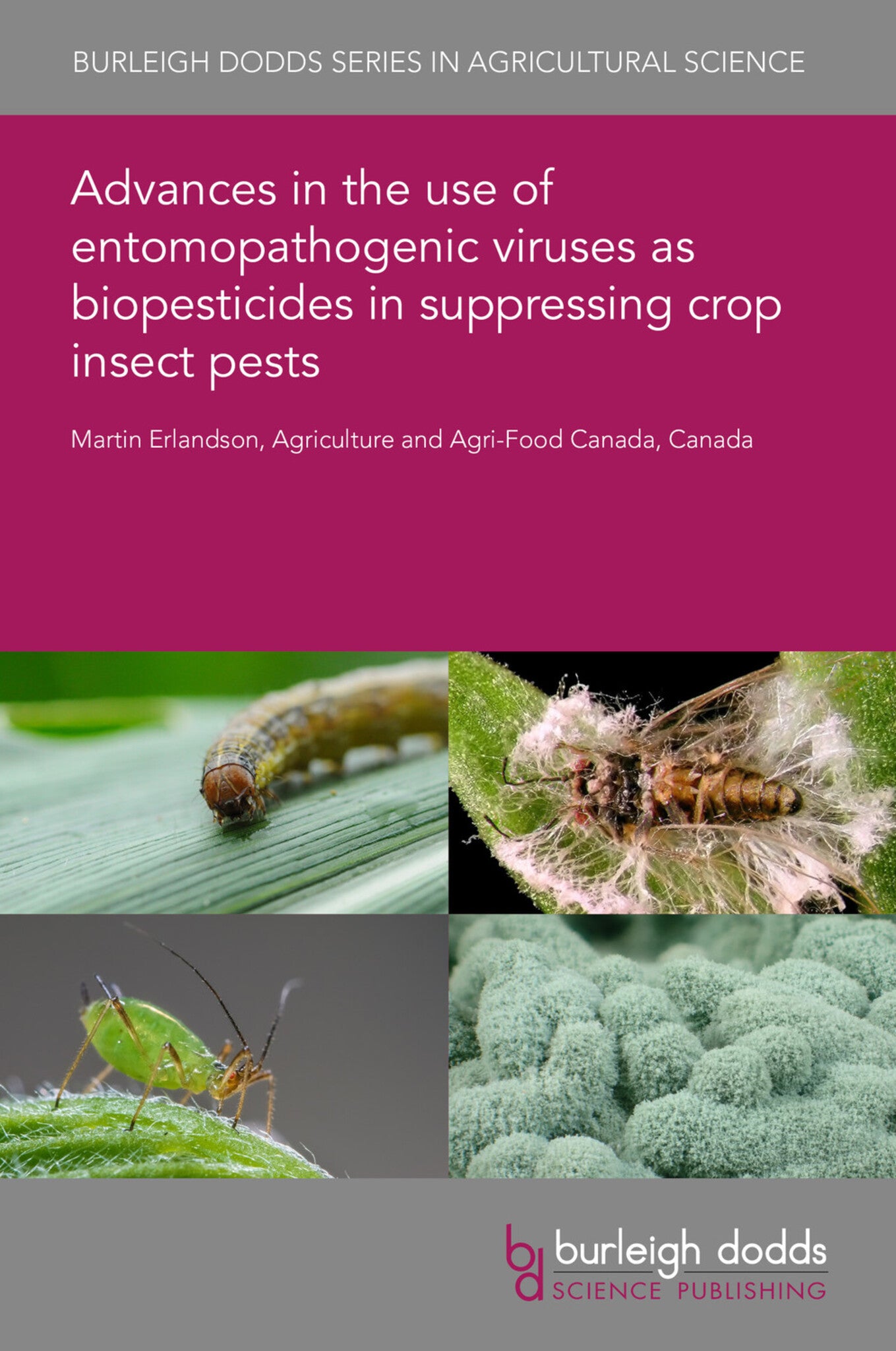 Advances in the use of entomopathogenic viruses as biopesticides in suppressing crop insect pests