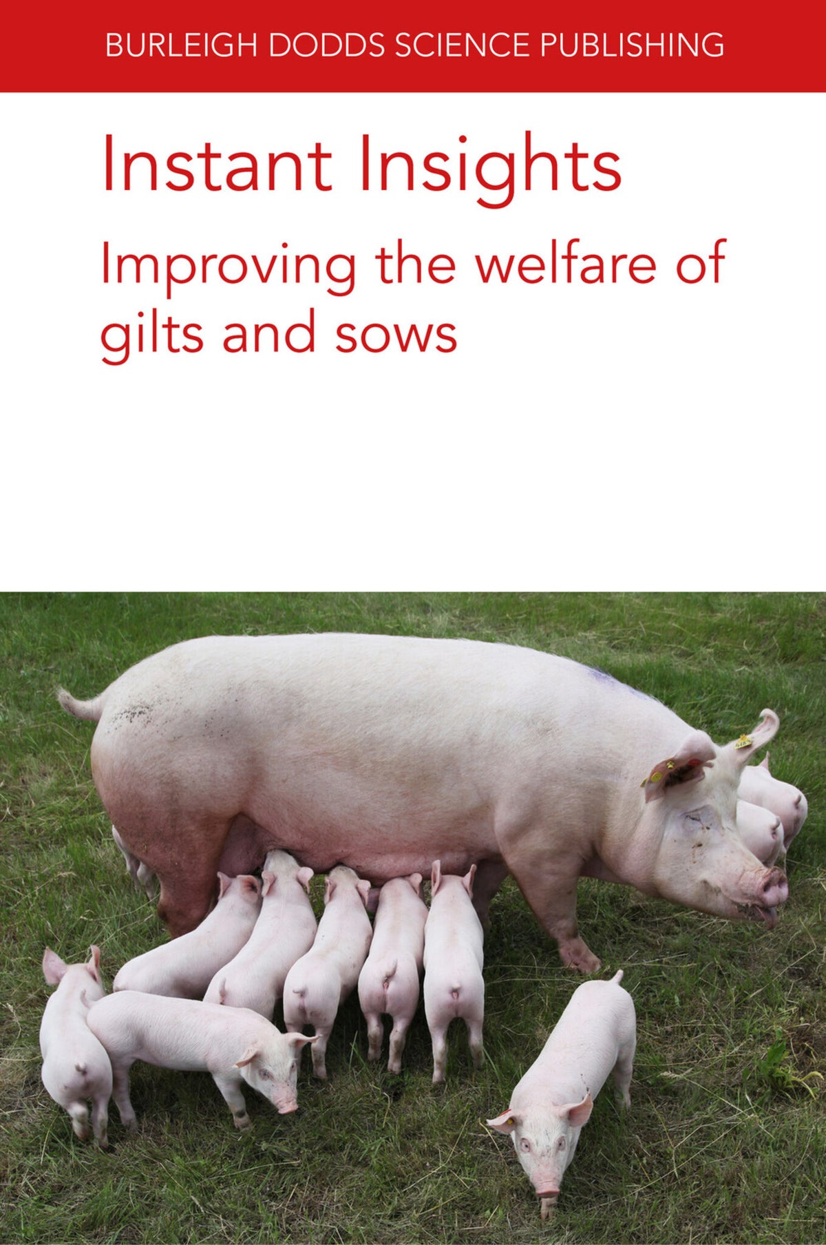 Cover image for Instant Insights: Improving the welfare of gilts and sows ISBN 9781801466394