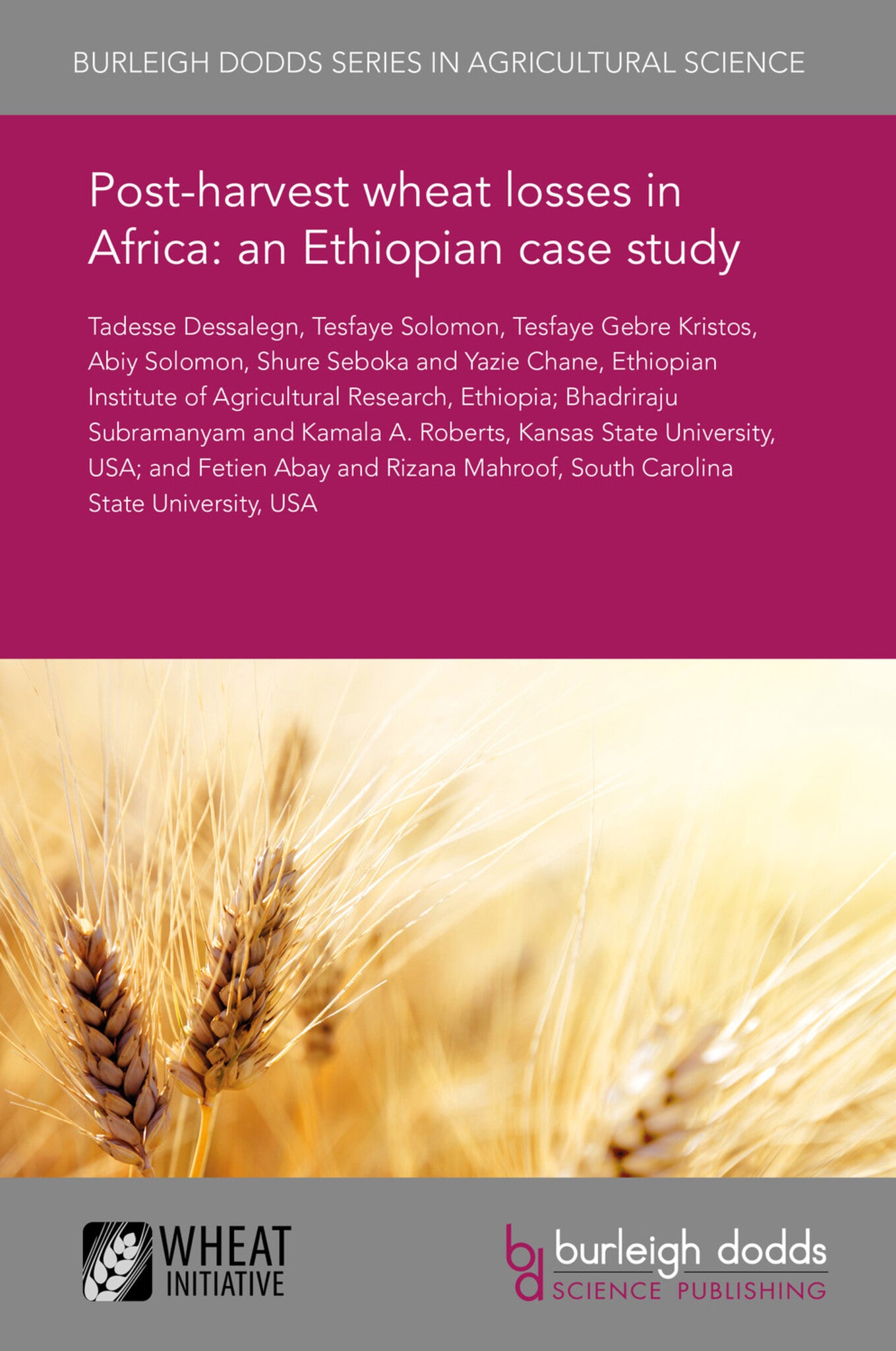 Post-harvest wheat losses in Africa: an Ethiopian case study