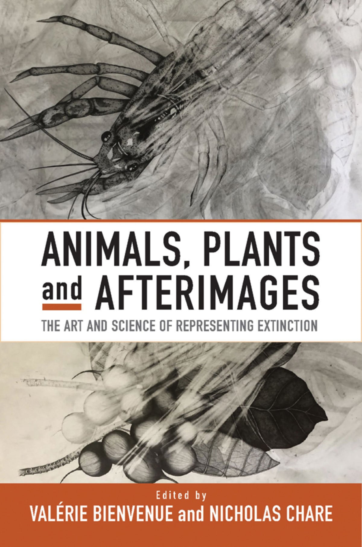Cover image for Animals, Plants and Afterimages ISBN 9781800734258