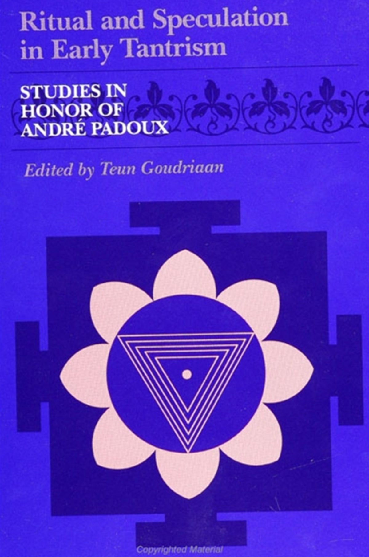Cover image for Ritual and Speculation in Early Tantrism ISBN 9780791408988