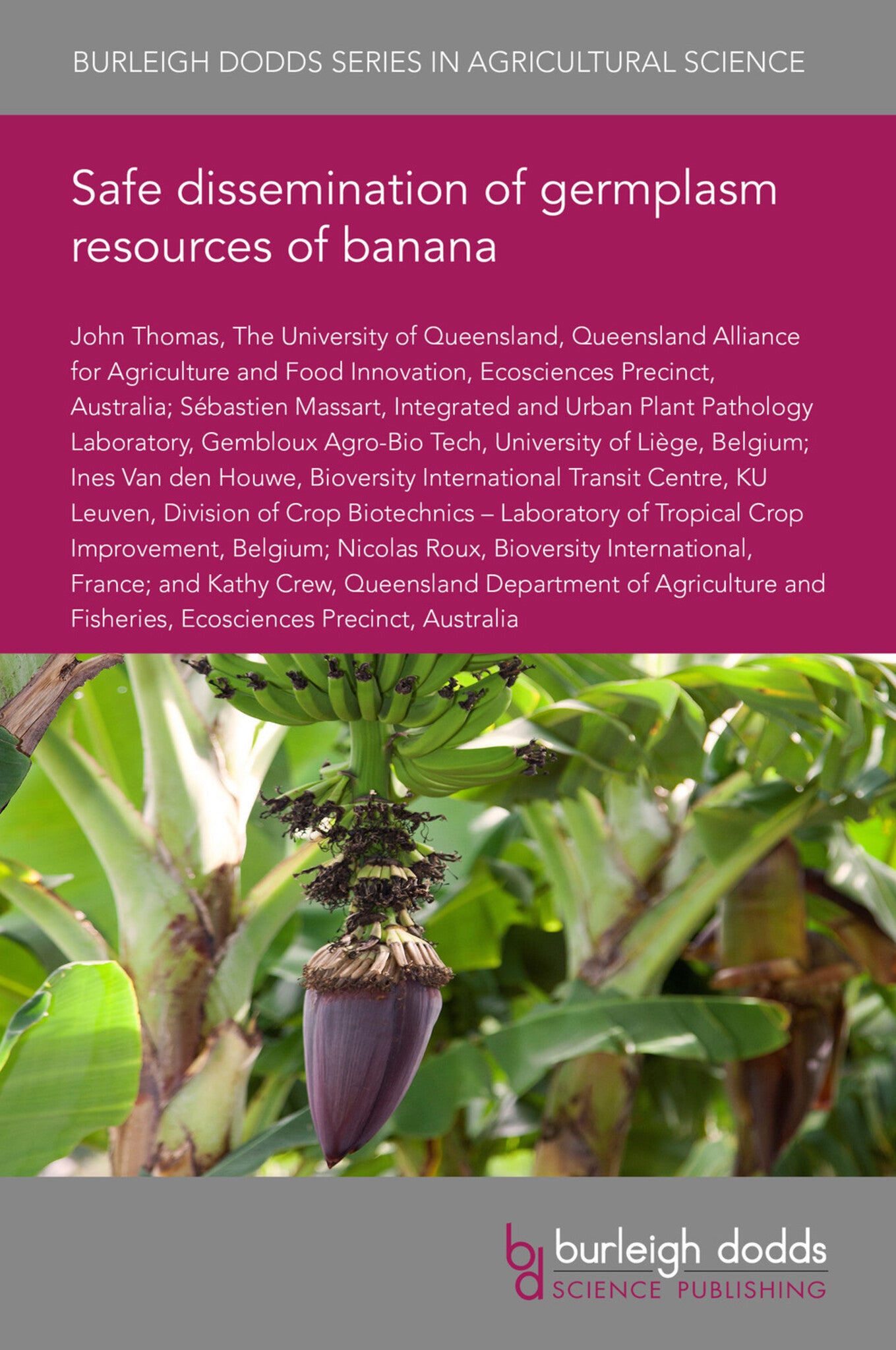 Safe dissemination of germplasm resources of banana