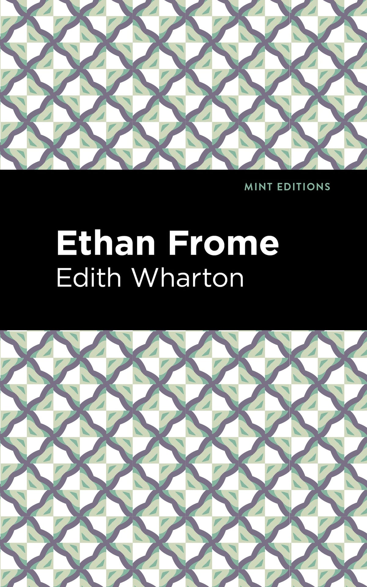 Cover image for Ethan Frome ISBN 9798888972199