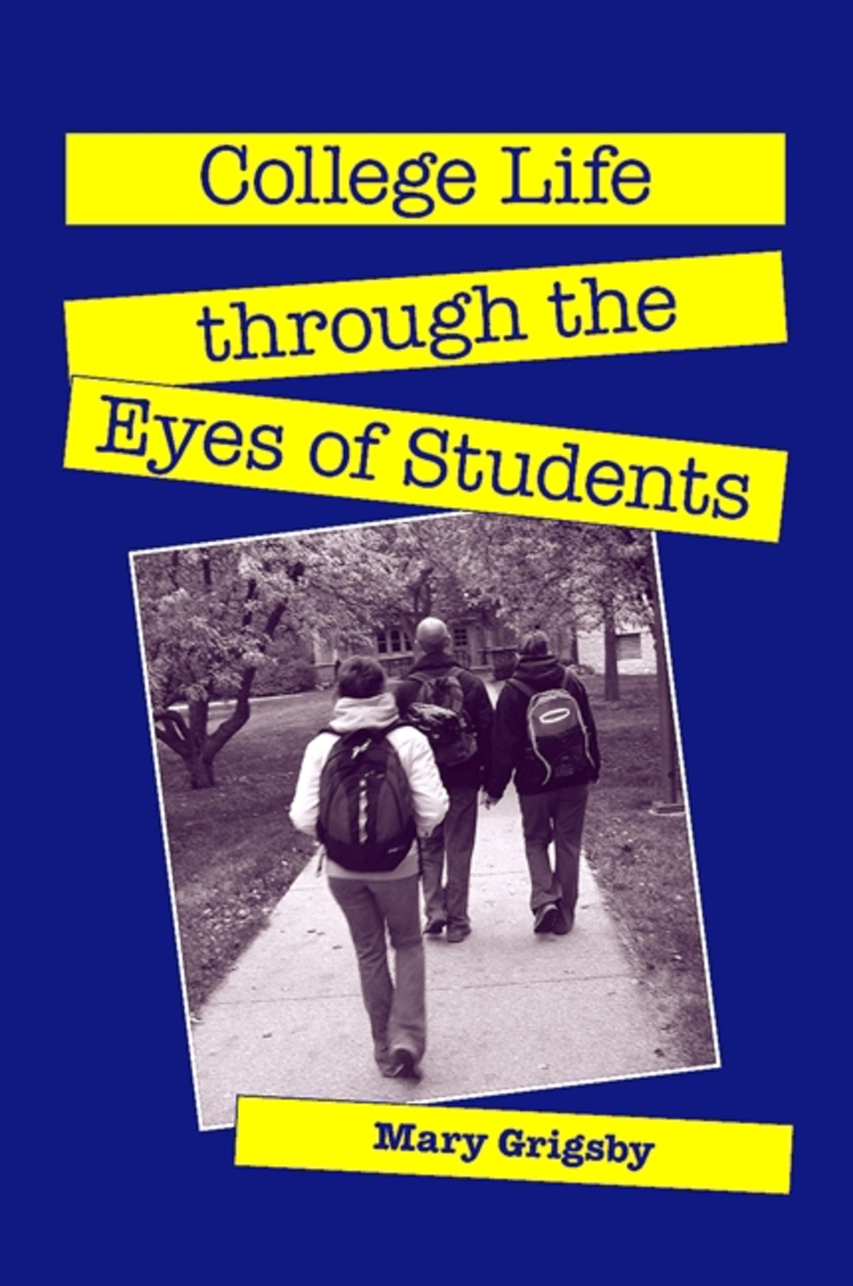 Cover image for College Life through the Eyes of Students ISBN 9781438426198
