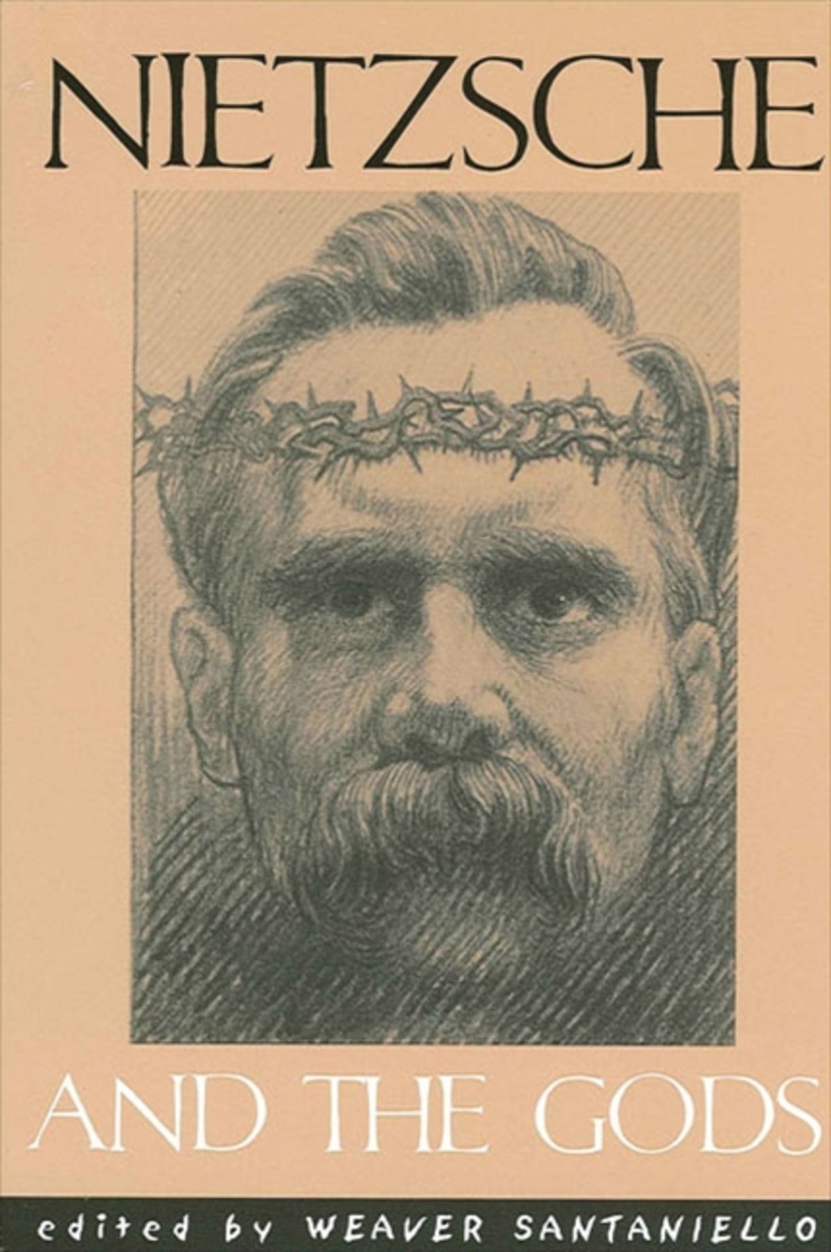 Cover image for Nietzsche and the Gods ISBN 9780791451144