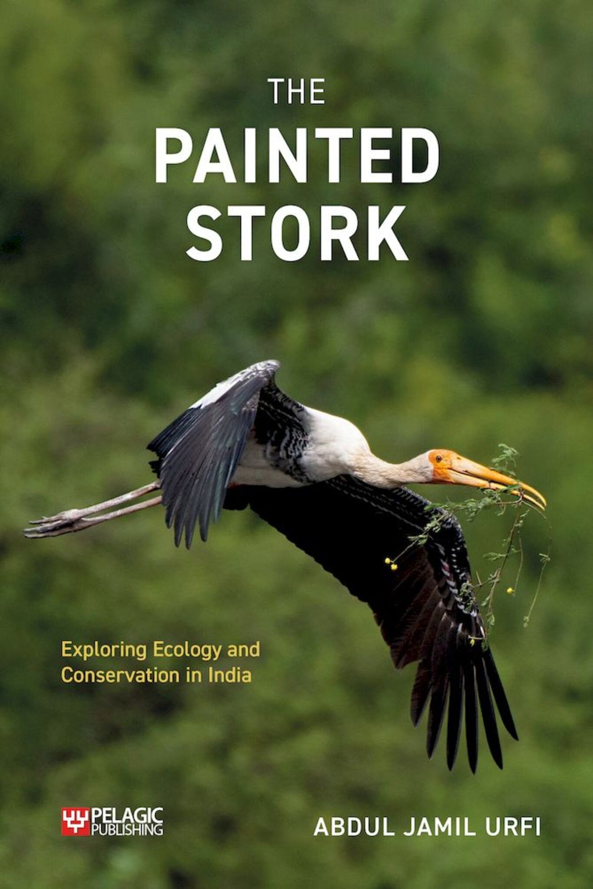 Cover image for The Painted Stork ISBN 9781784274405