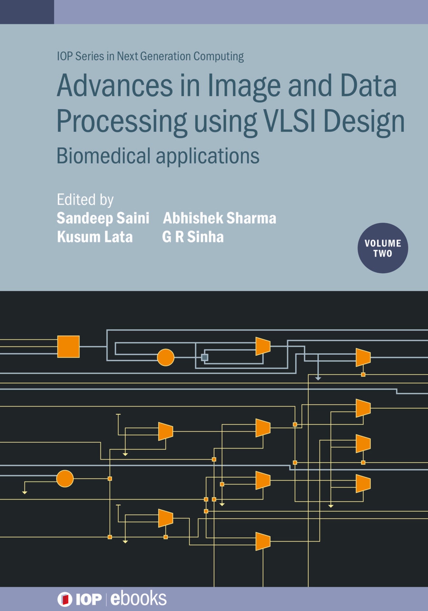 Advances in Image and Data Processing using VLSI Design, Volume 2