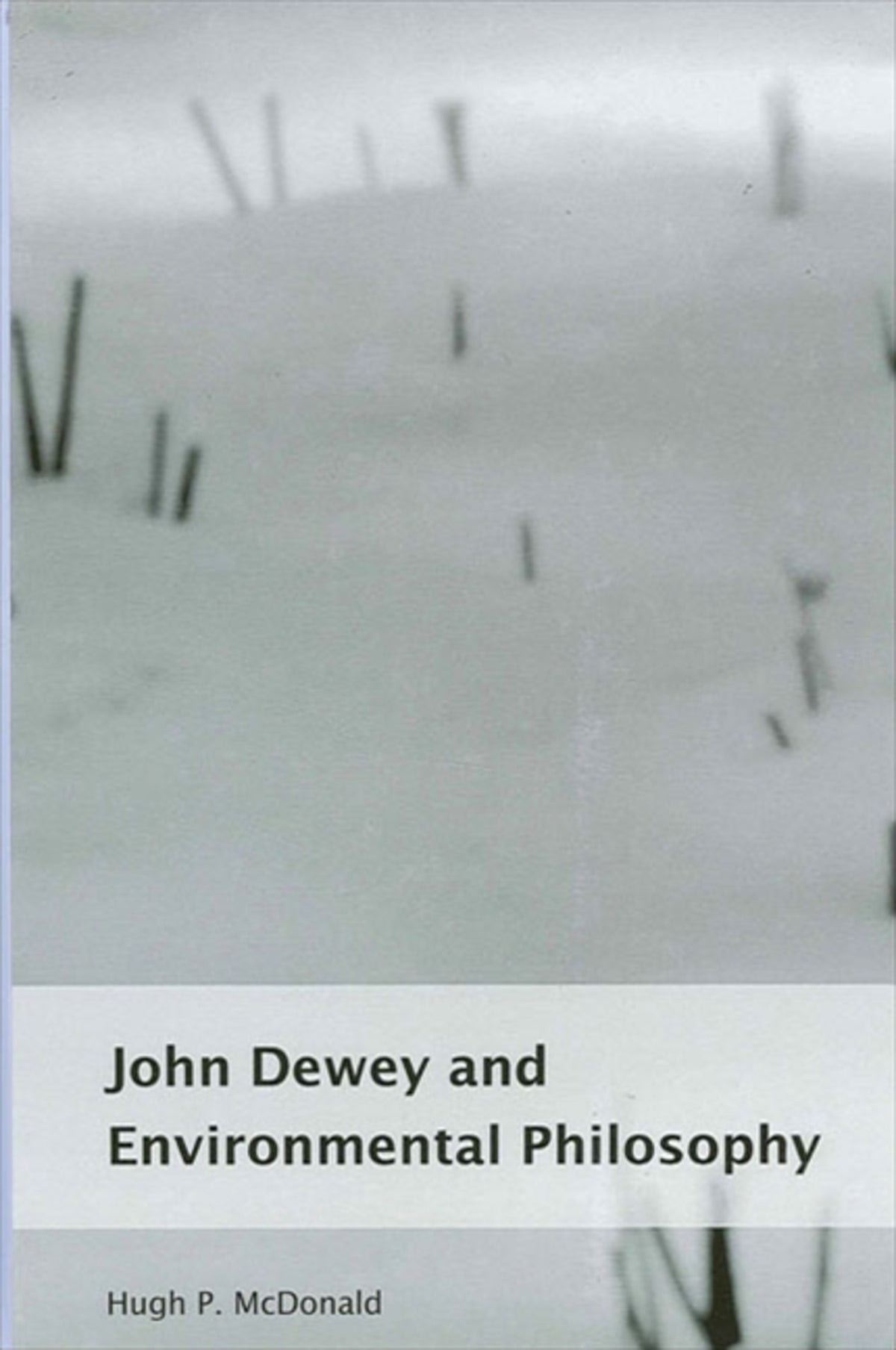 Cover image for John Dewey and Environmental Philosophy ISBN 9780791458747