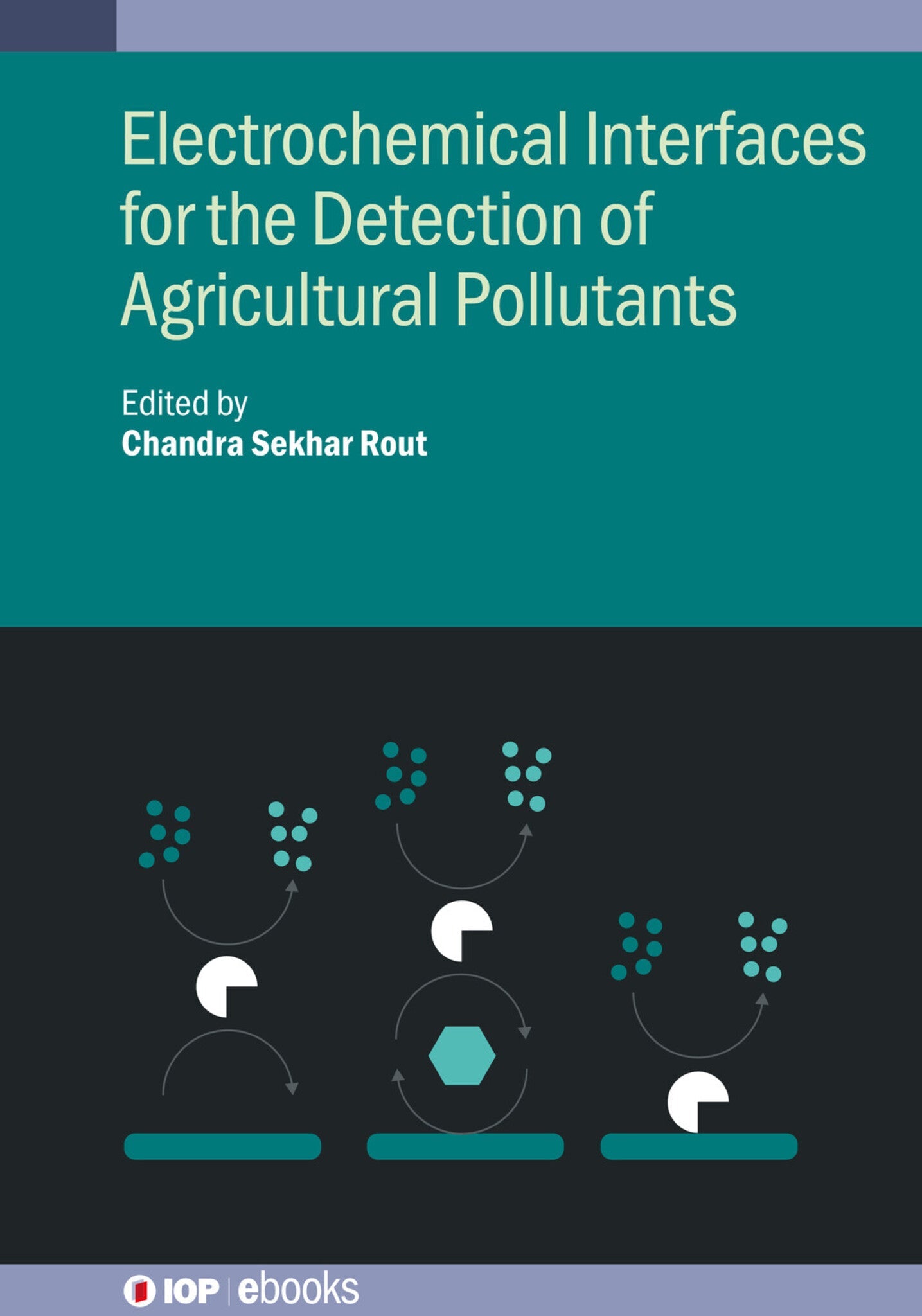 Advanced Electrochemical pH Sensing Technologies