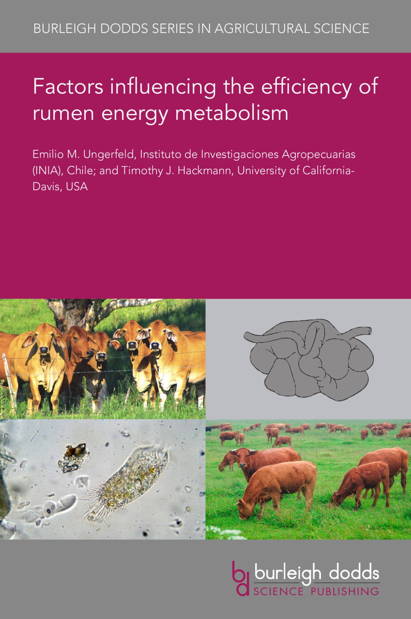 Factors influencing the efficiency of rumen energy metabolism