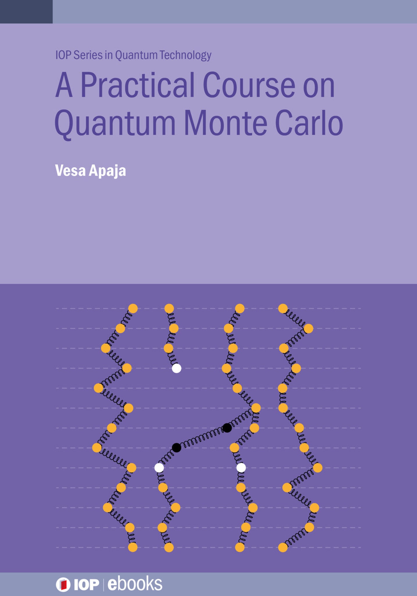 A Practical Course on Quantum Monte Carlo
