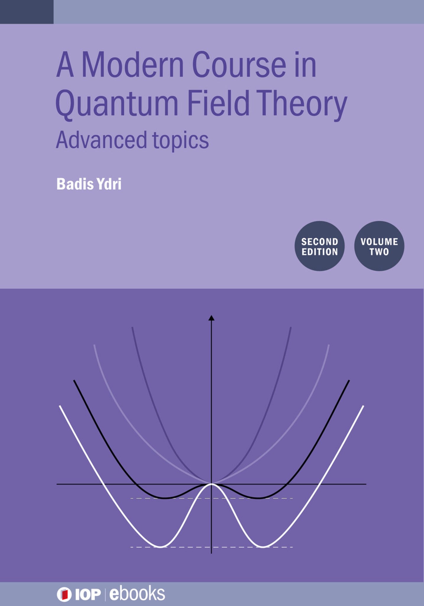 A Modern Course in Quantum Field Theory, Volume 2 (Second Edition)