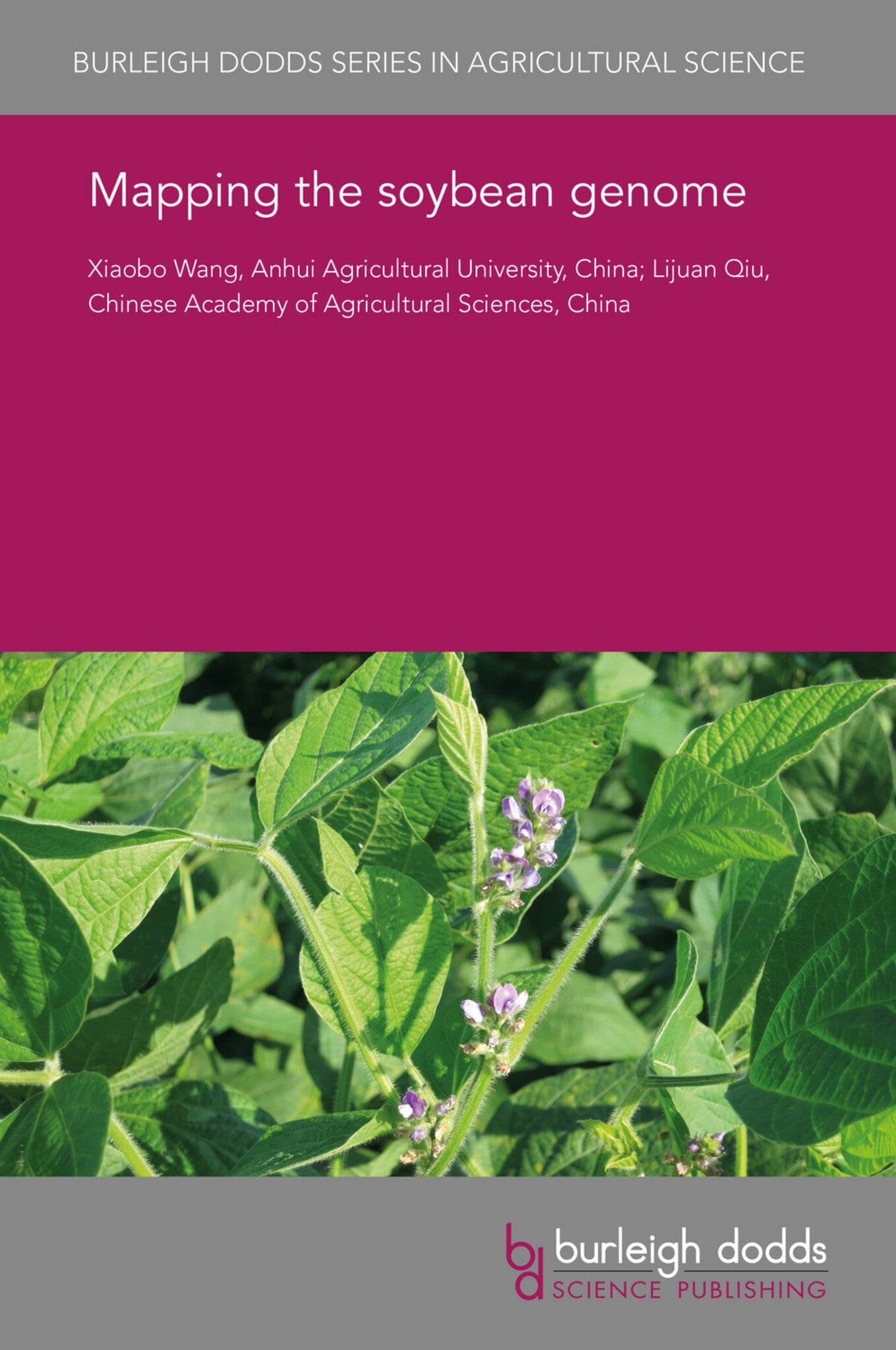 Mapping the soybean genome