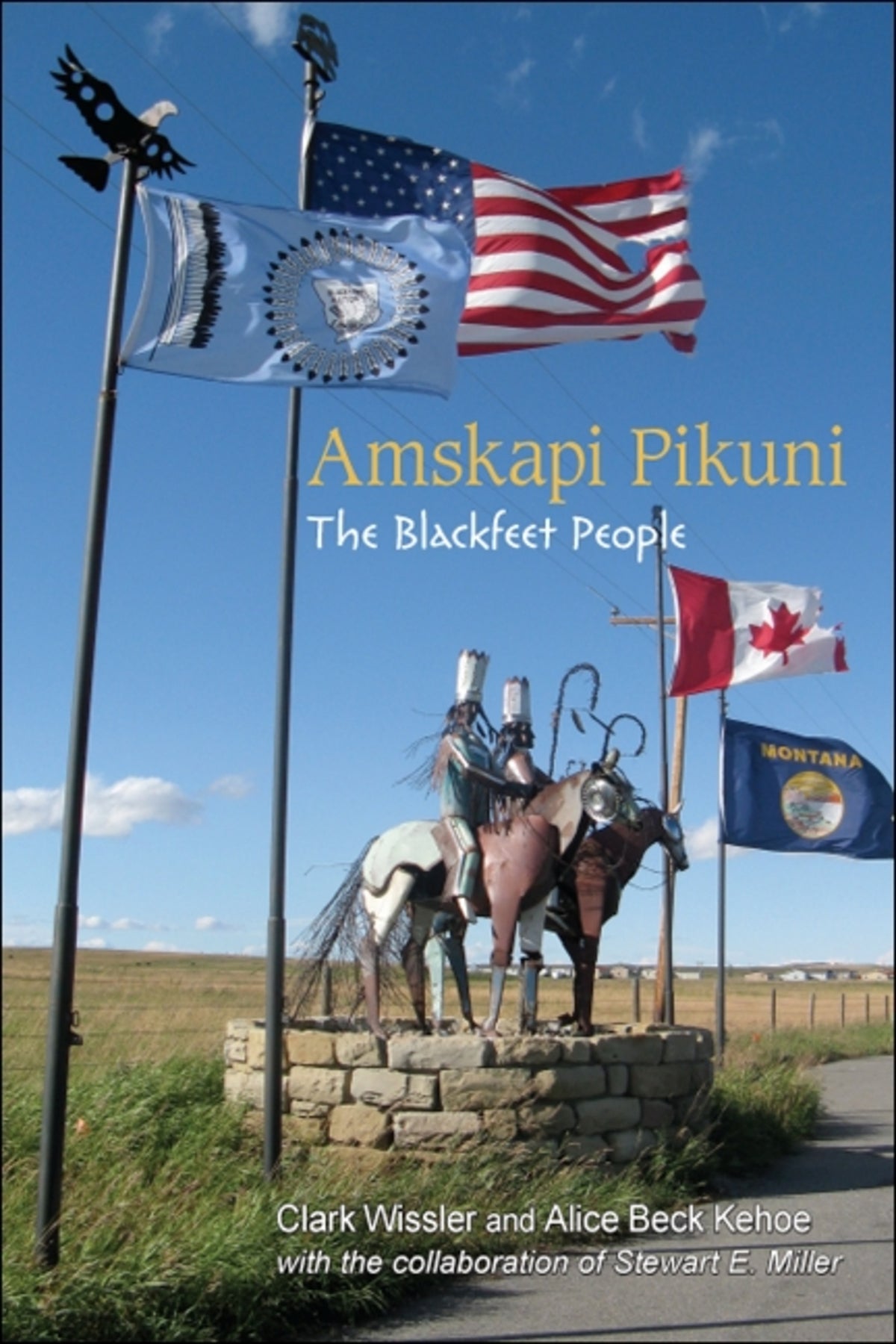 Cover image for Amskapi Pikuni ISBN 9781438443355