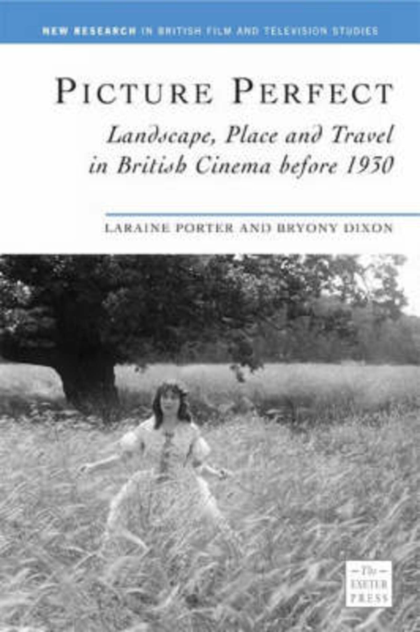 Cover image for Picture Perfect ISBN 9780859899383