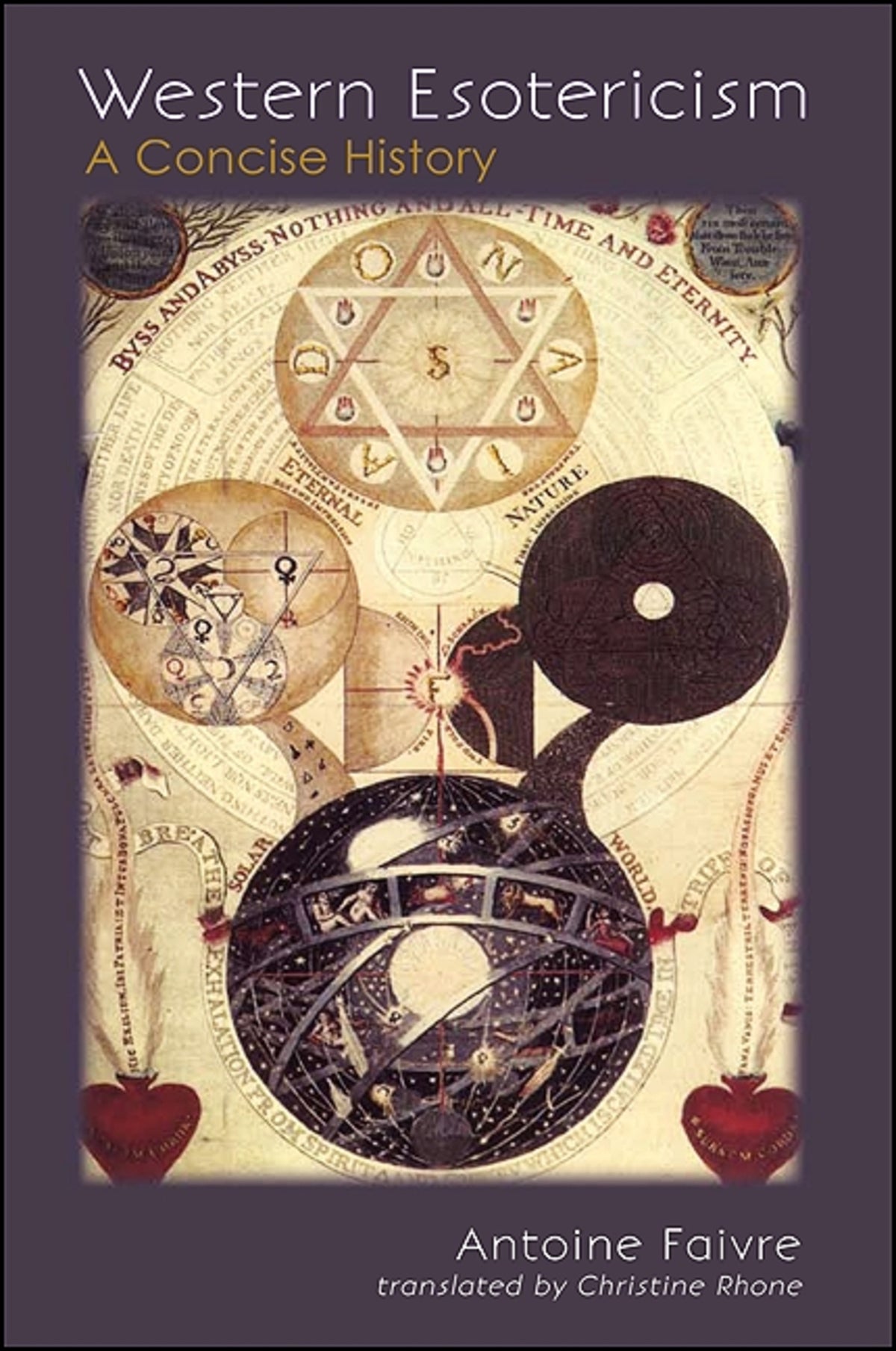 Cover image for Western Esotericism ISBN 9781438433776