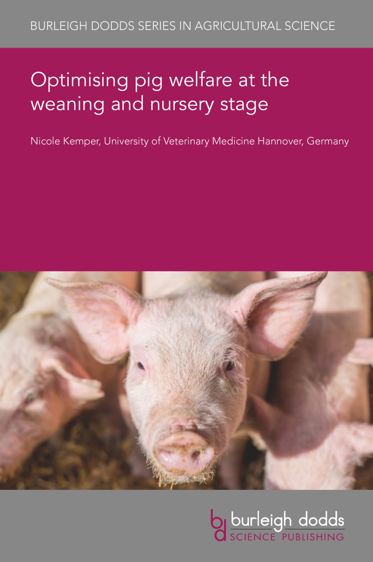 Optimising pig welfare at the weaning and nursery stage