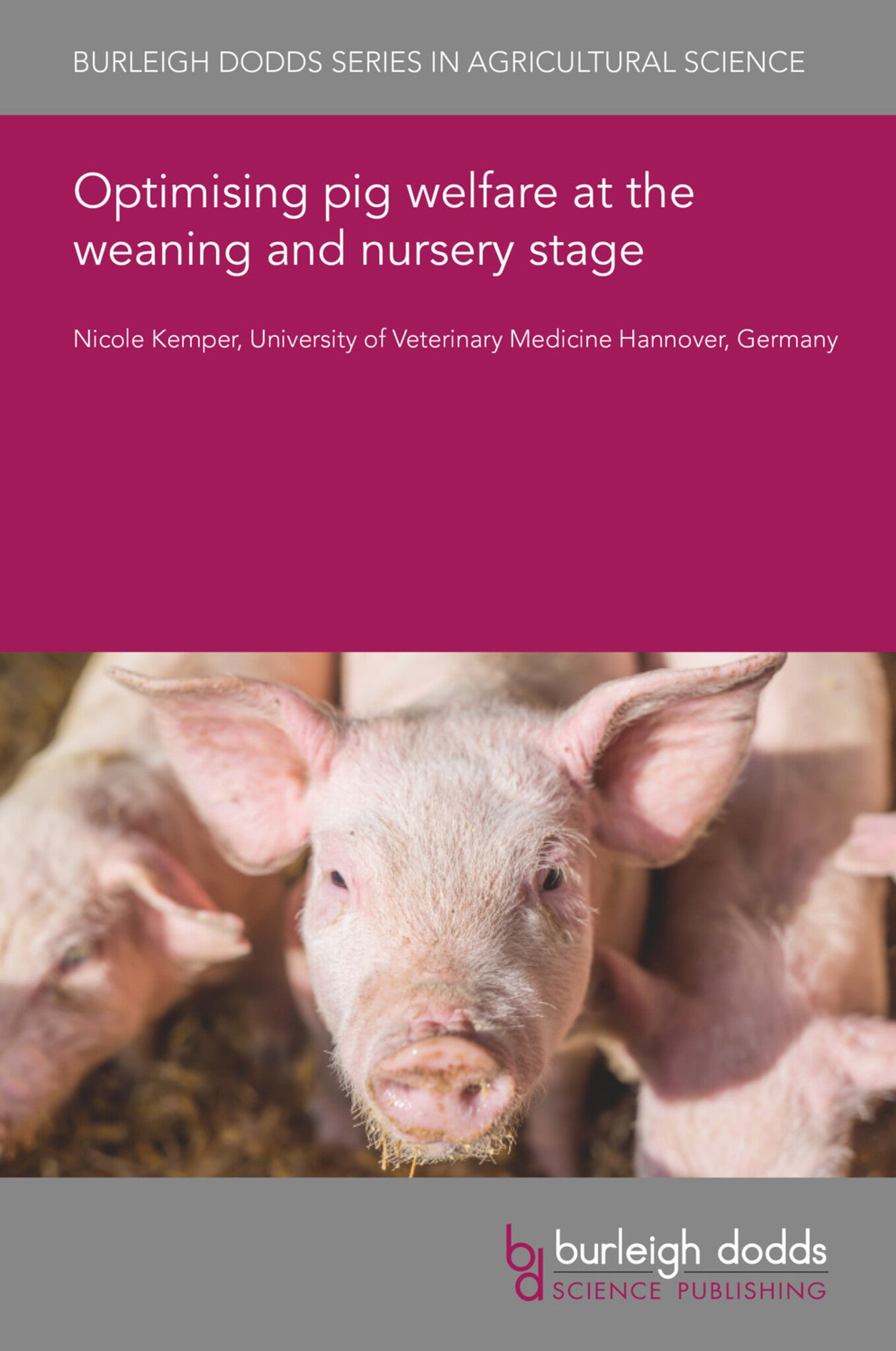 Optimising pig welfare at the weaning and nursery stage