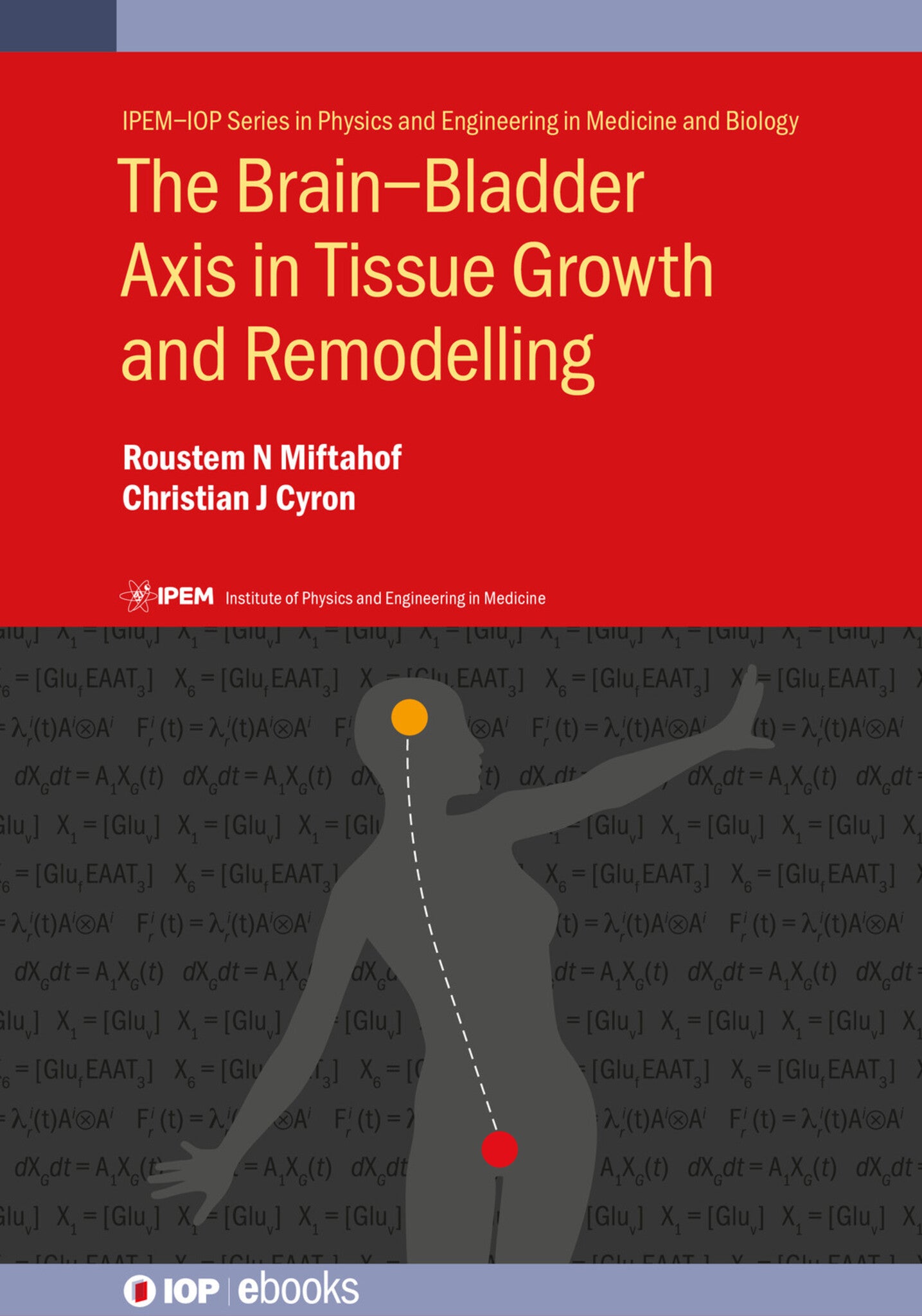 The Brain–Bladder Axis in Tissue Growth and Remodelling