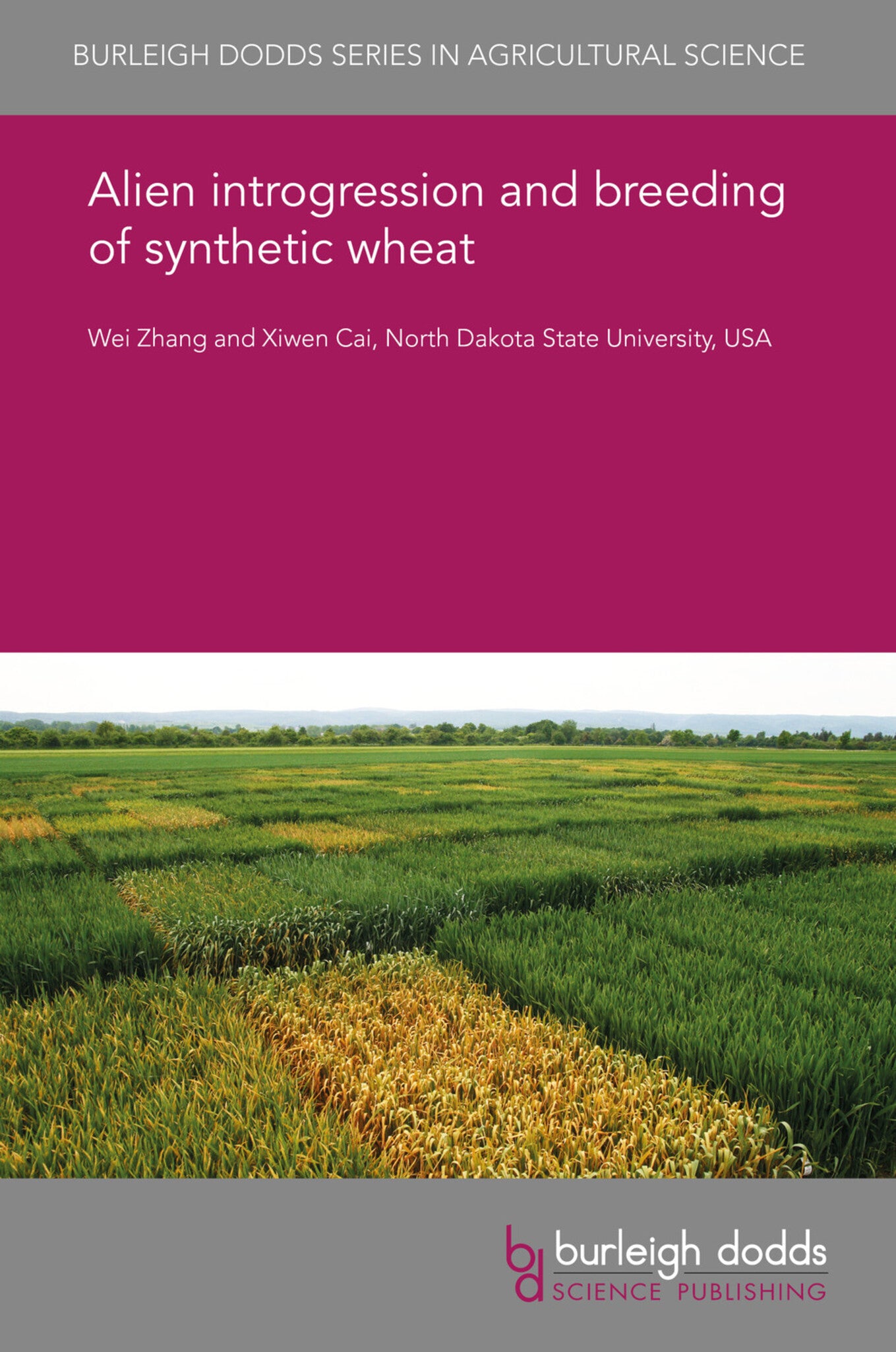 Alien introgression and breeding of synthetic wheat