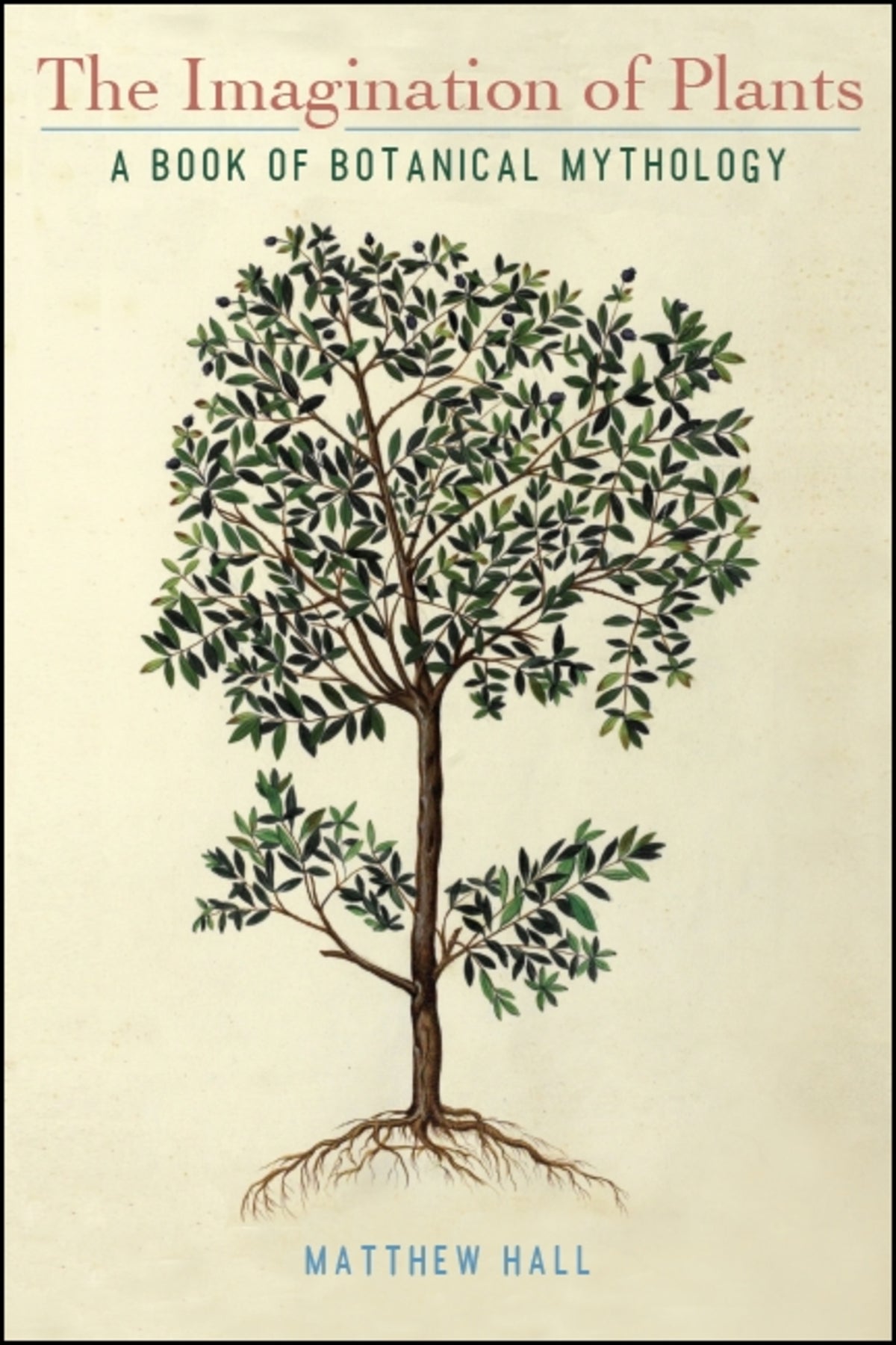 Cover image for The Imagination of Plants ISBN 9781438474380