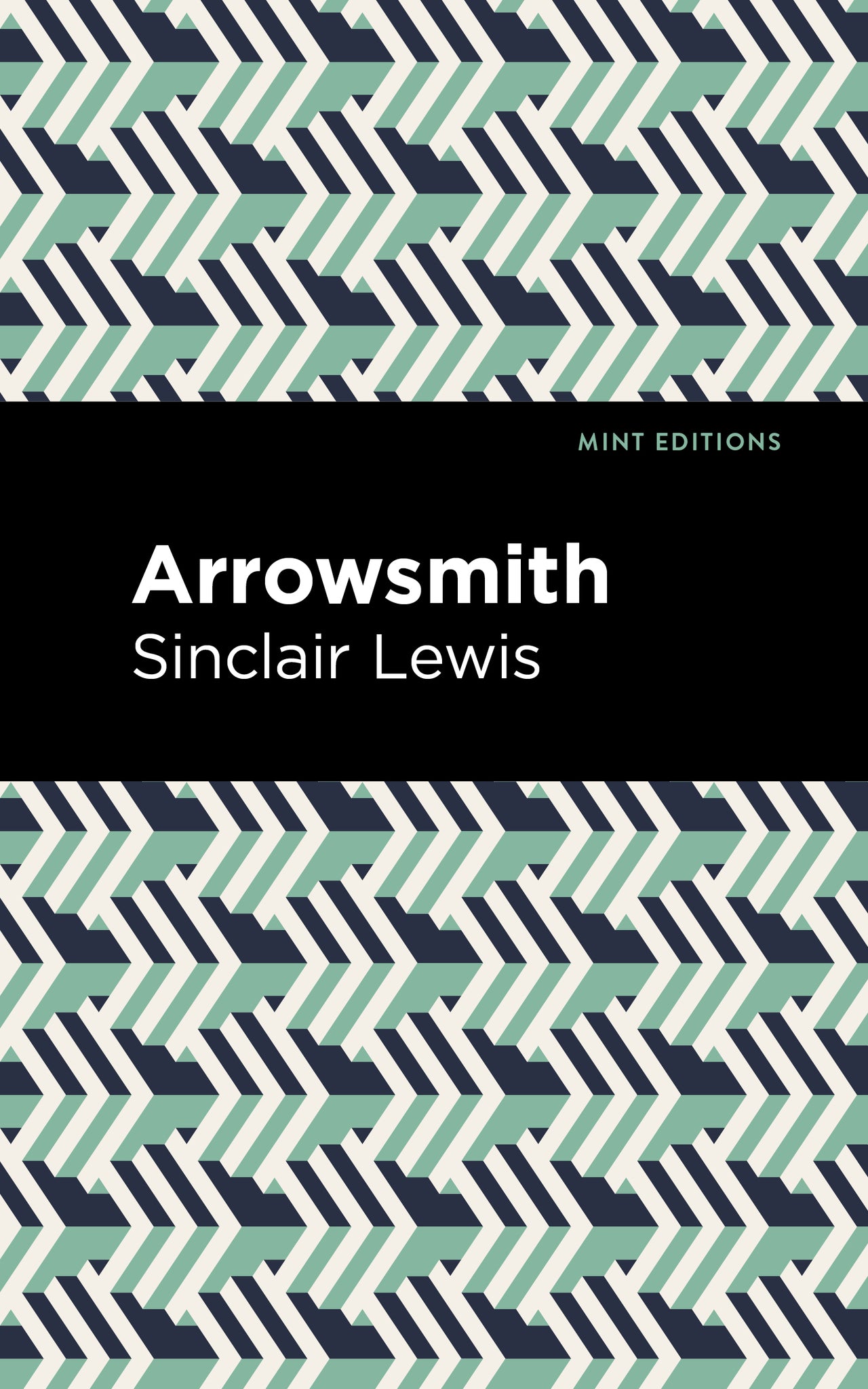 Cover image for Arrowsmith ISBN 9798888970973
