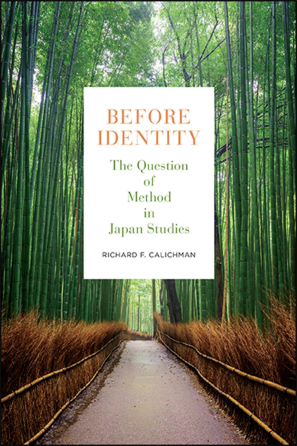 Cover image for Before Identity ISBN 9781438482132