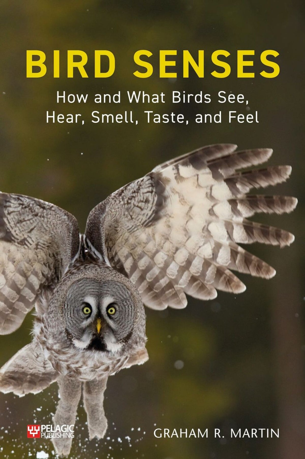 Cover image for Bird Senses ISBN 9781784272173