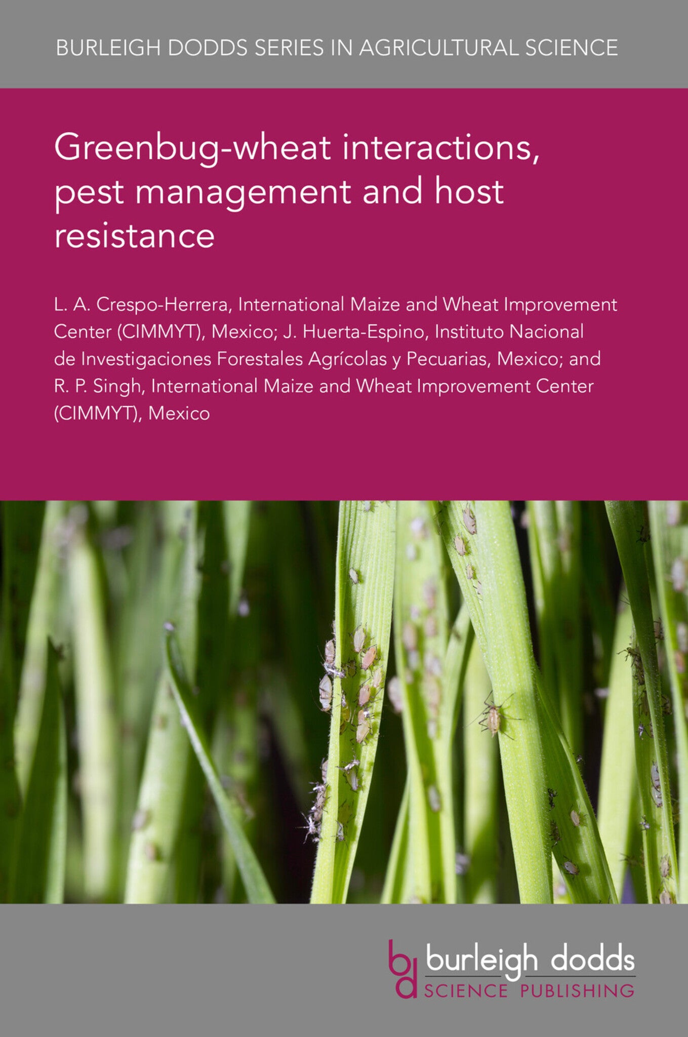 Greenbug-wheat interactions, pest management and host resistance