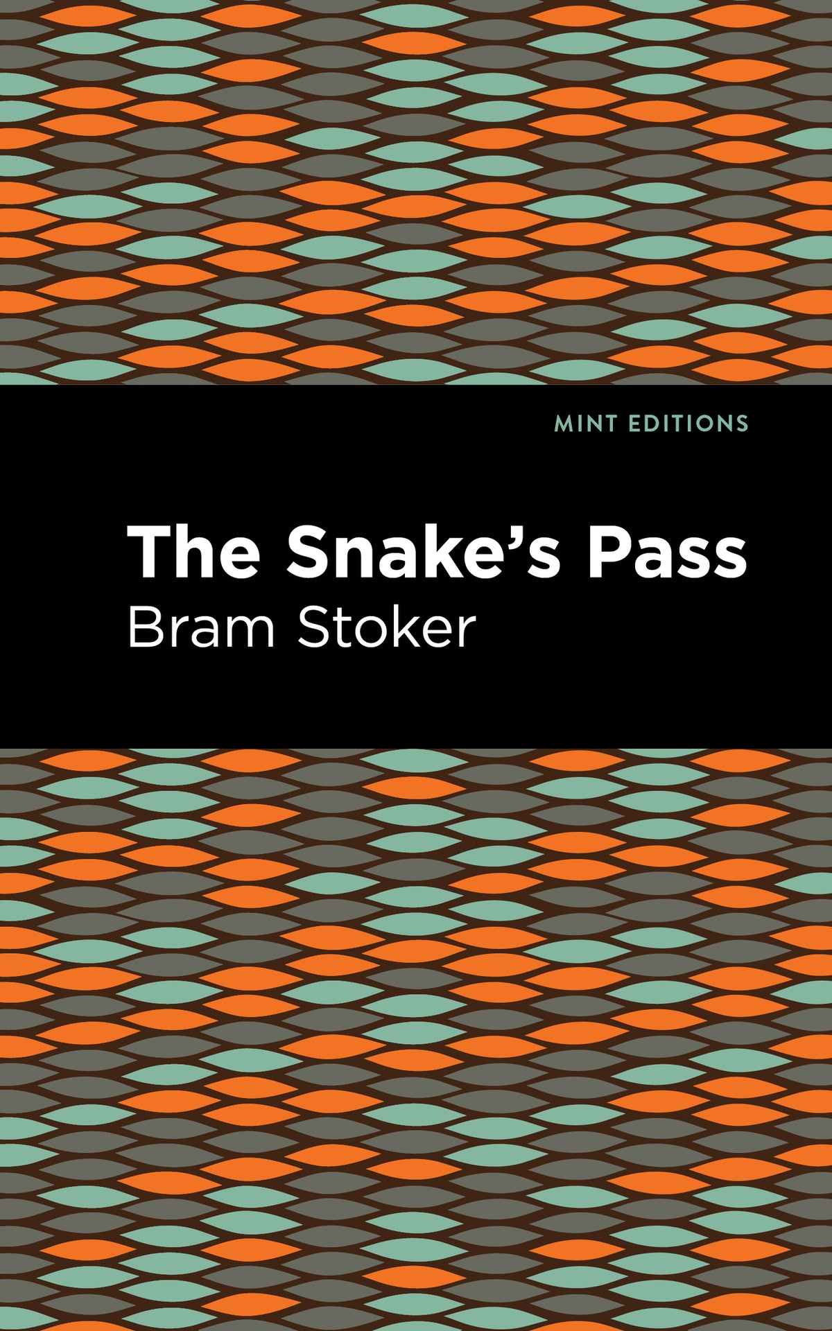 Cover image for The Snake's Pass ISBN 9781513282039