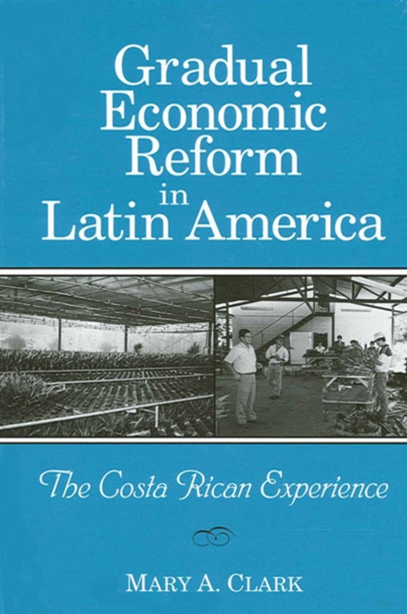 Gradual Economic Reform in Latin America