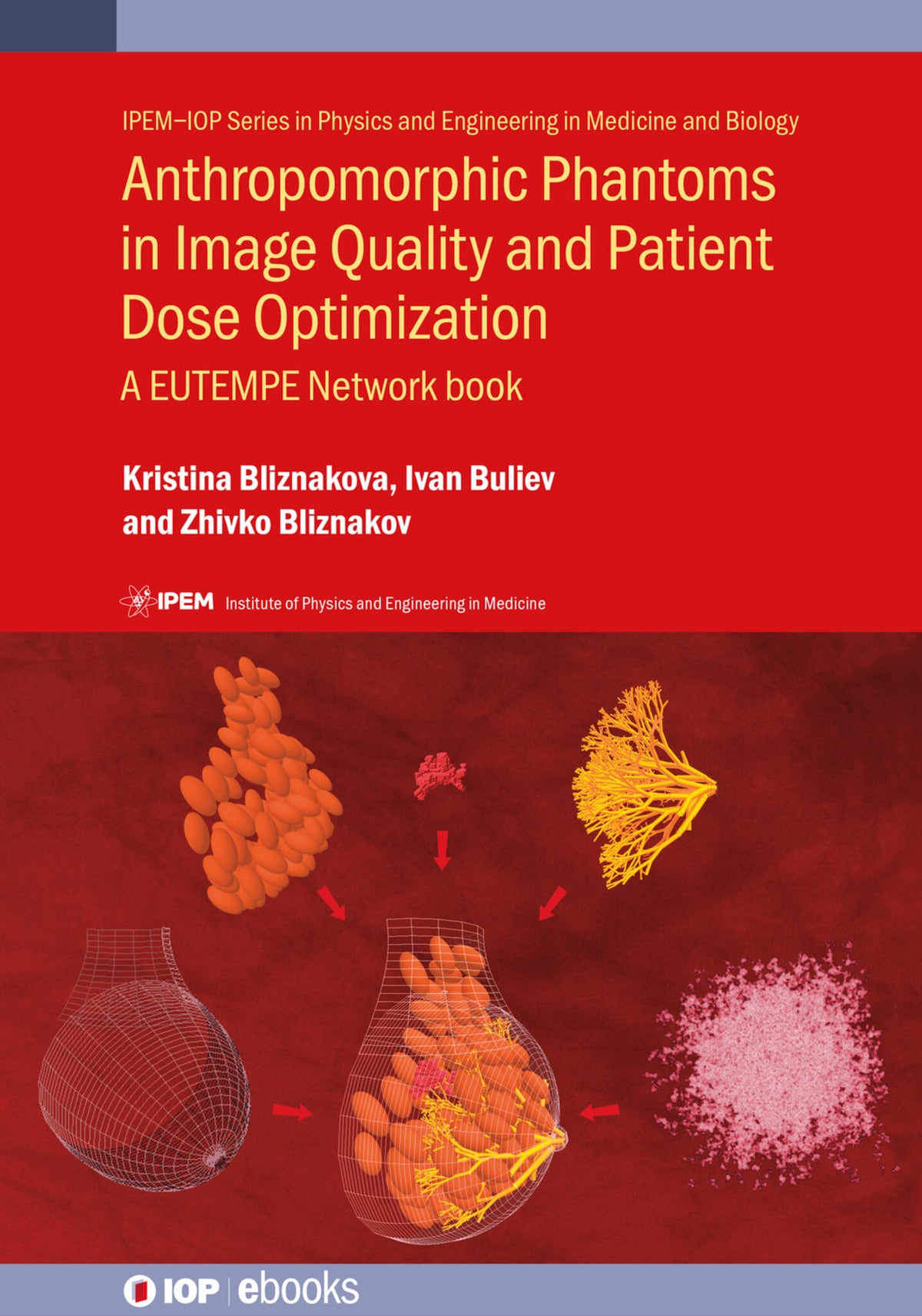 Cover image for Anthropomorphic Phantoms in Image Quality and Patient Dose Optimization ISBN 9780750313247