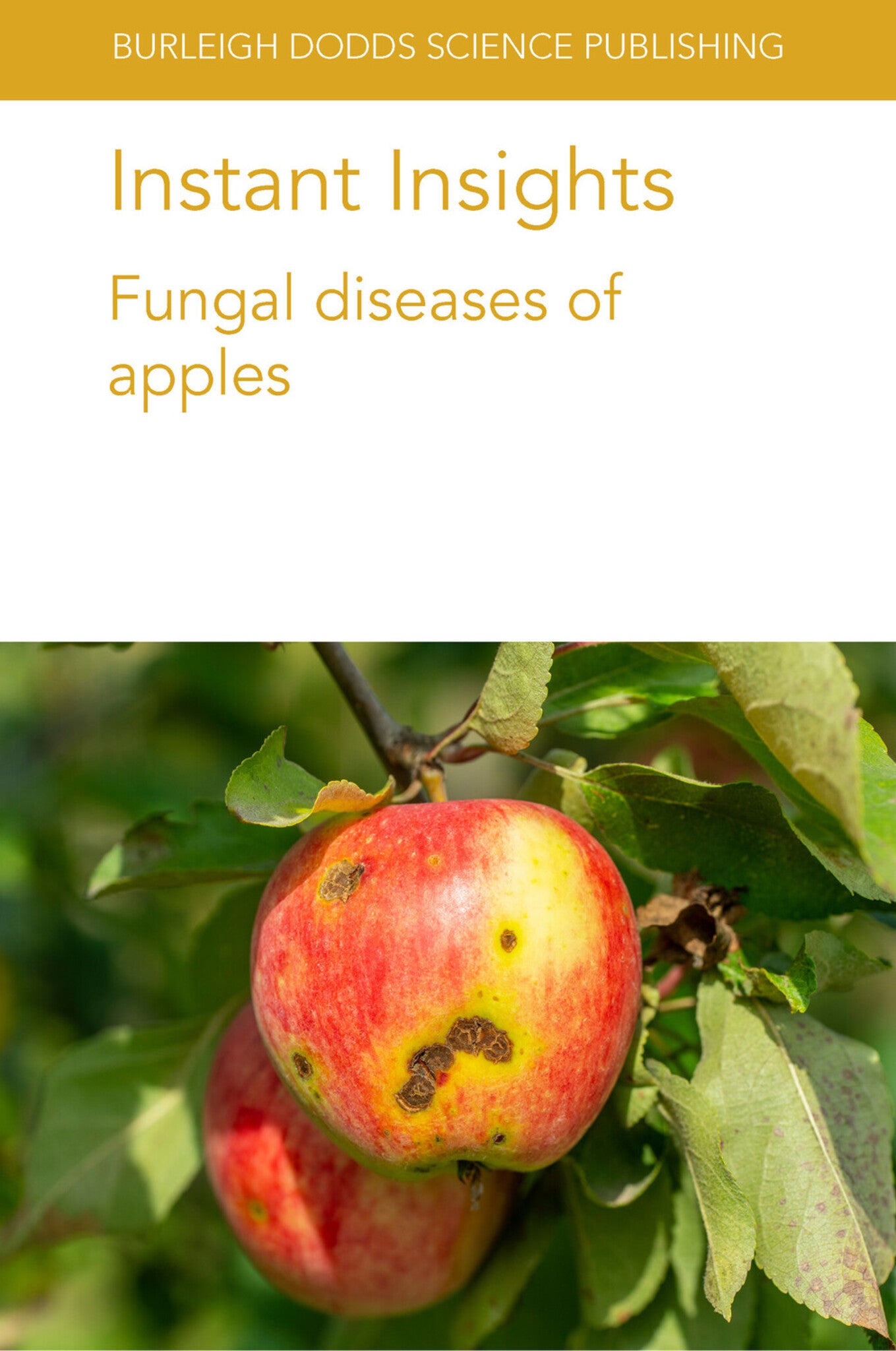 Instant Insights: Fungal diseases of apples